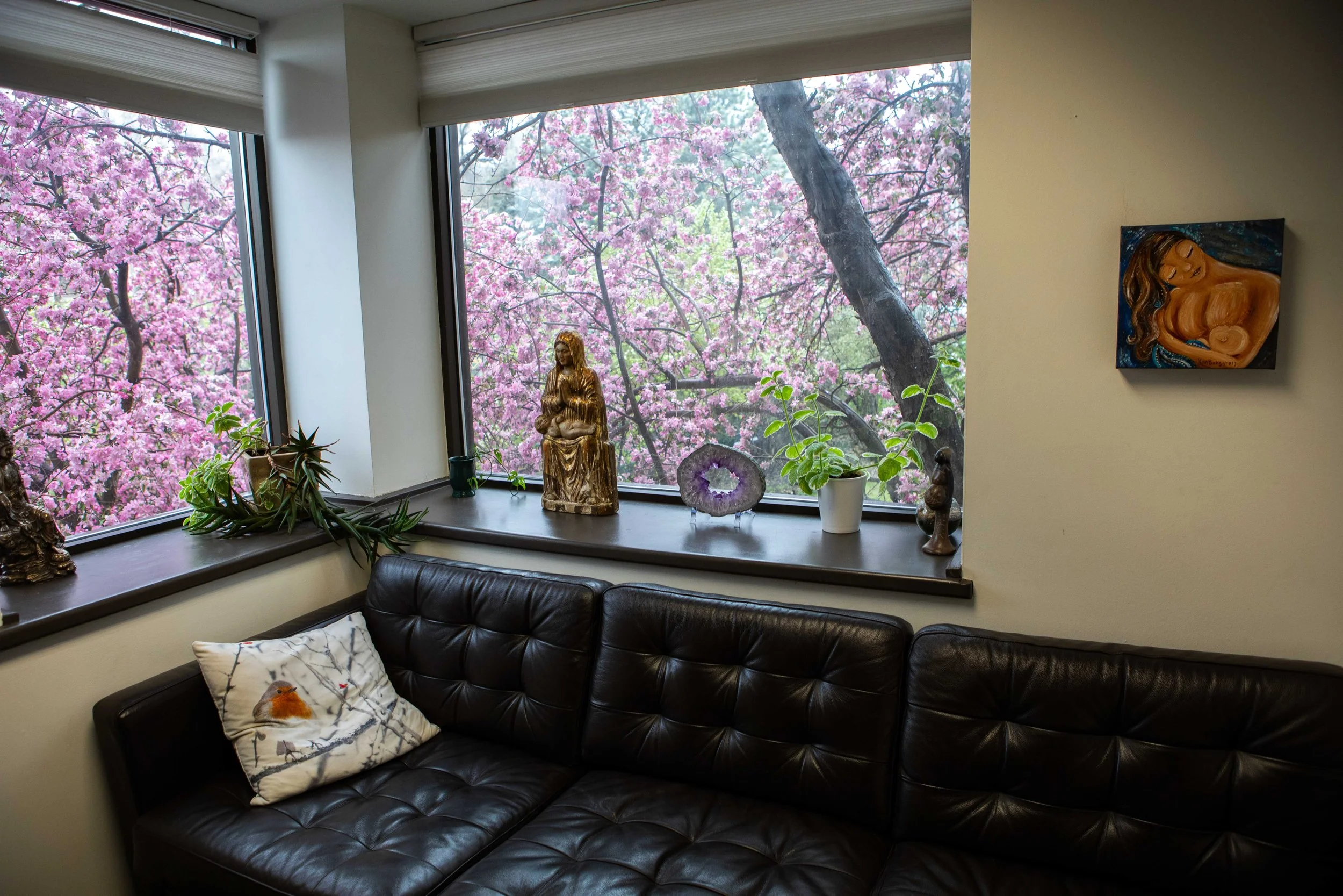 clinic room in cherry blossoms
