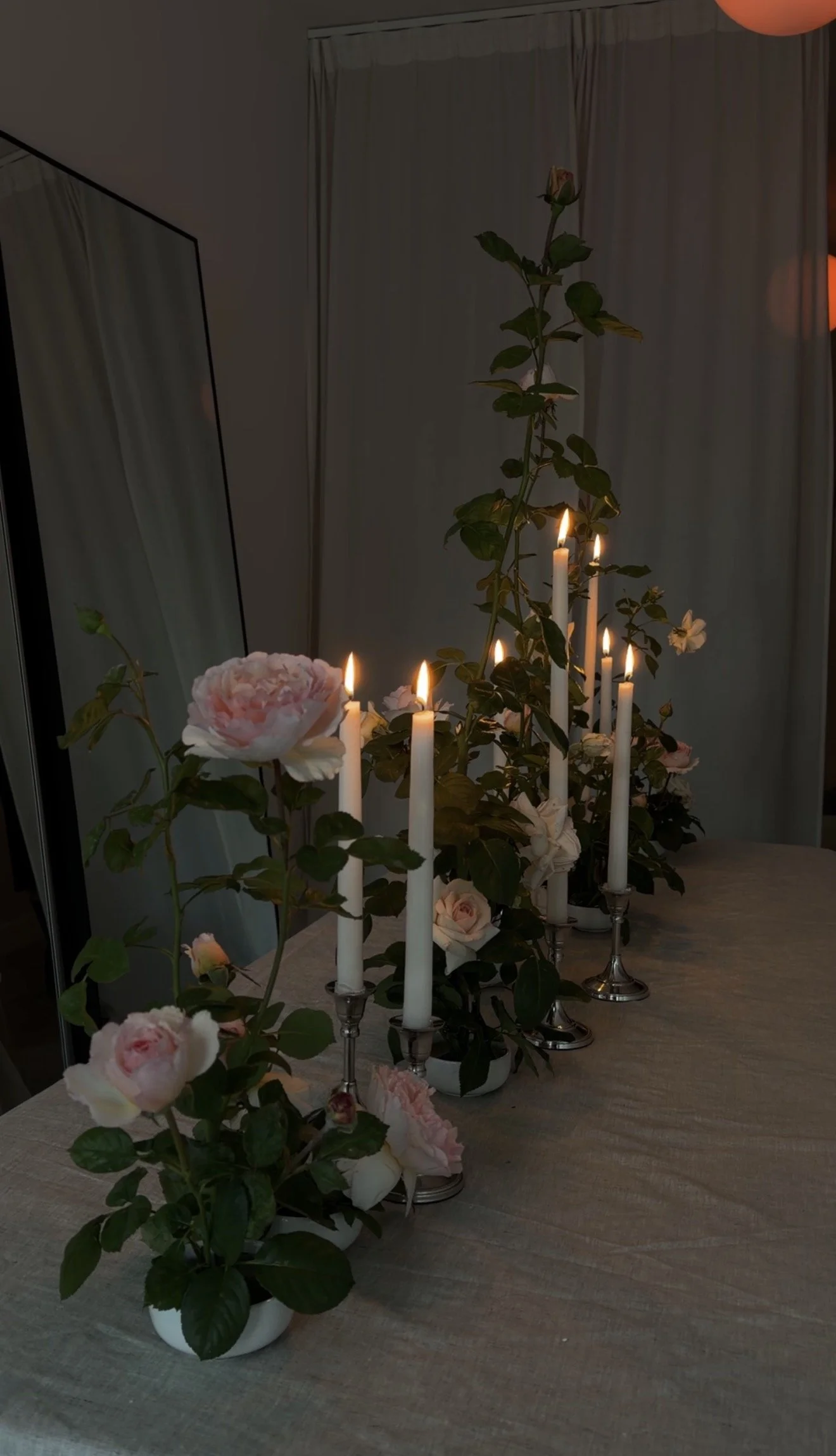 IMG_6077.PNG