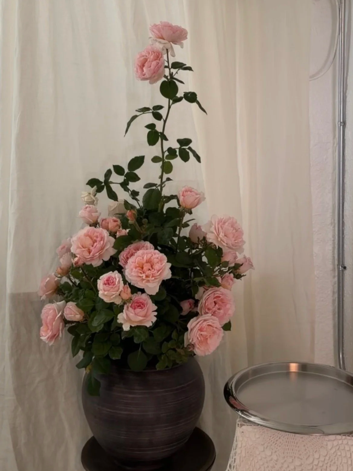 IMG_6076.png