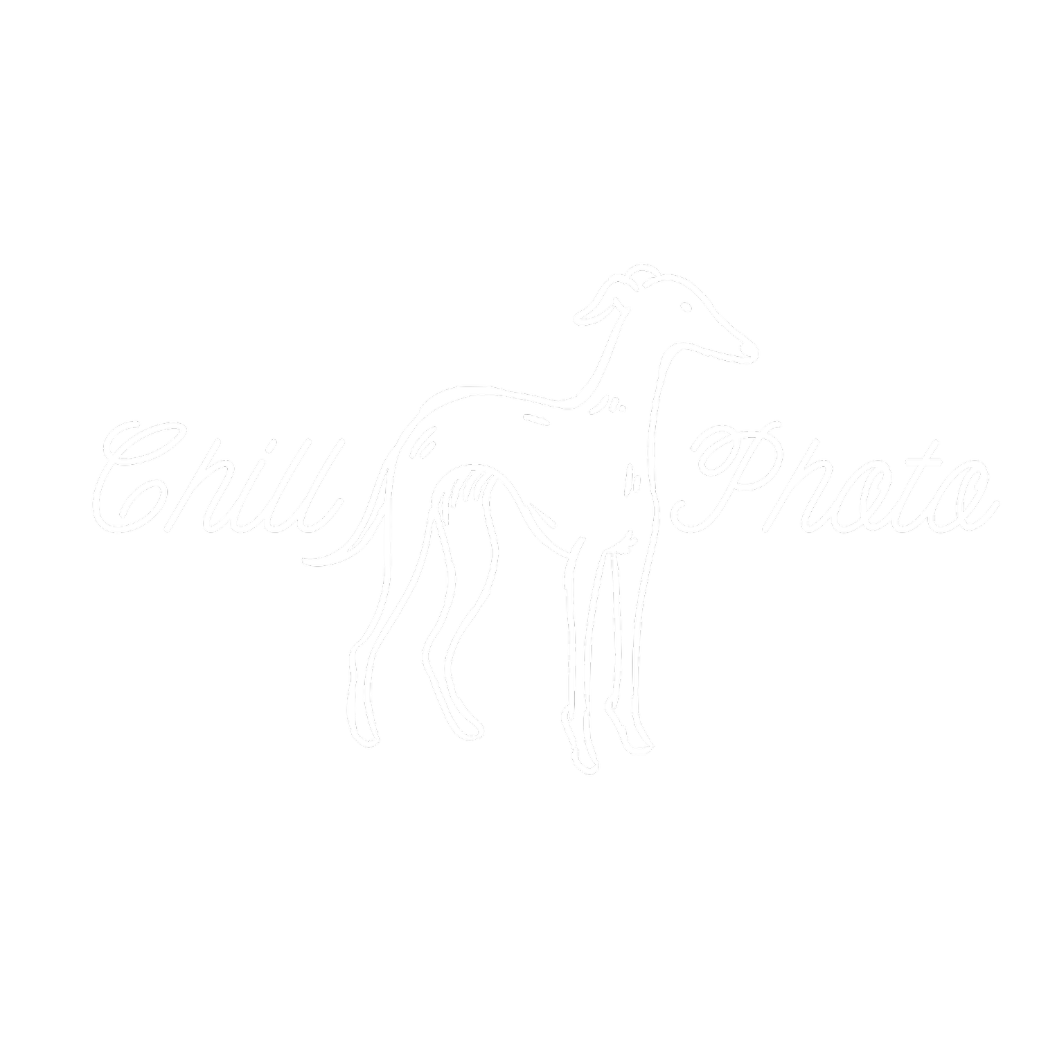 Chill Photo