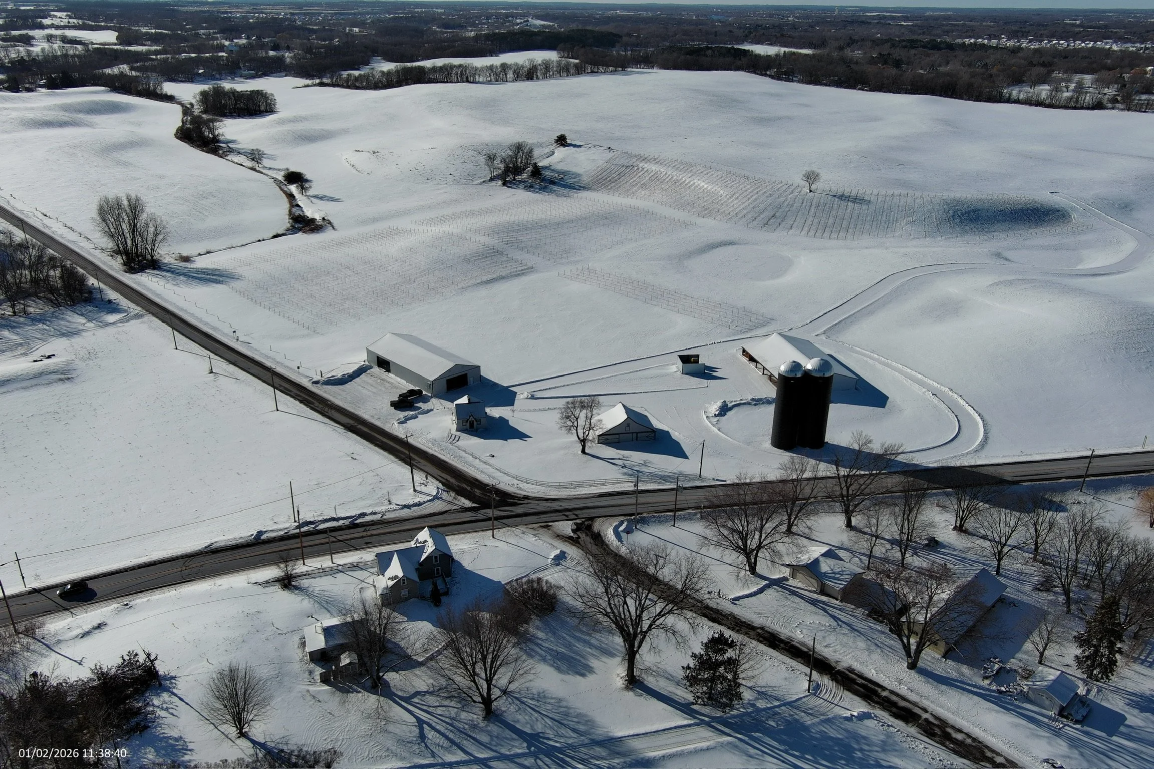 Winter in the Vineyard