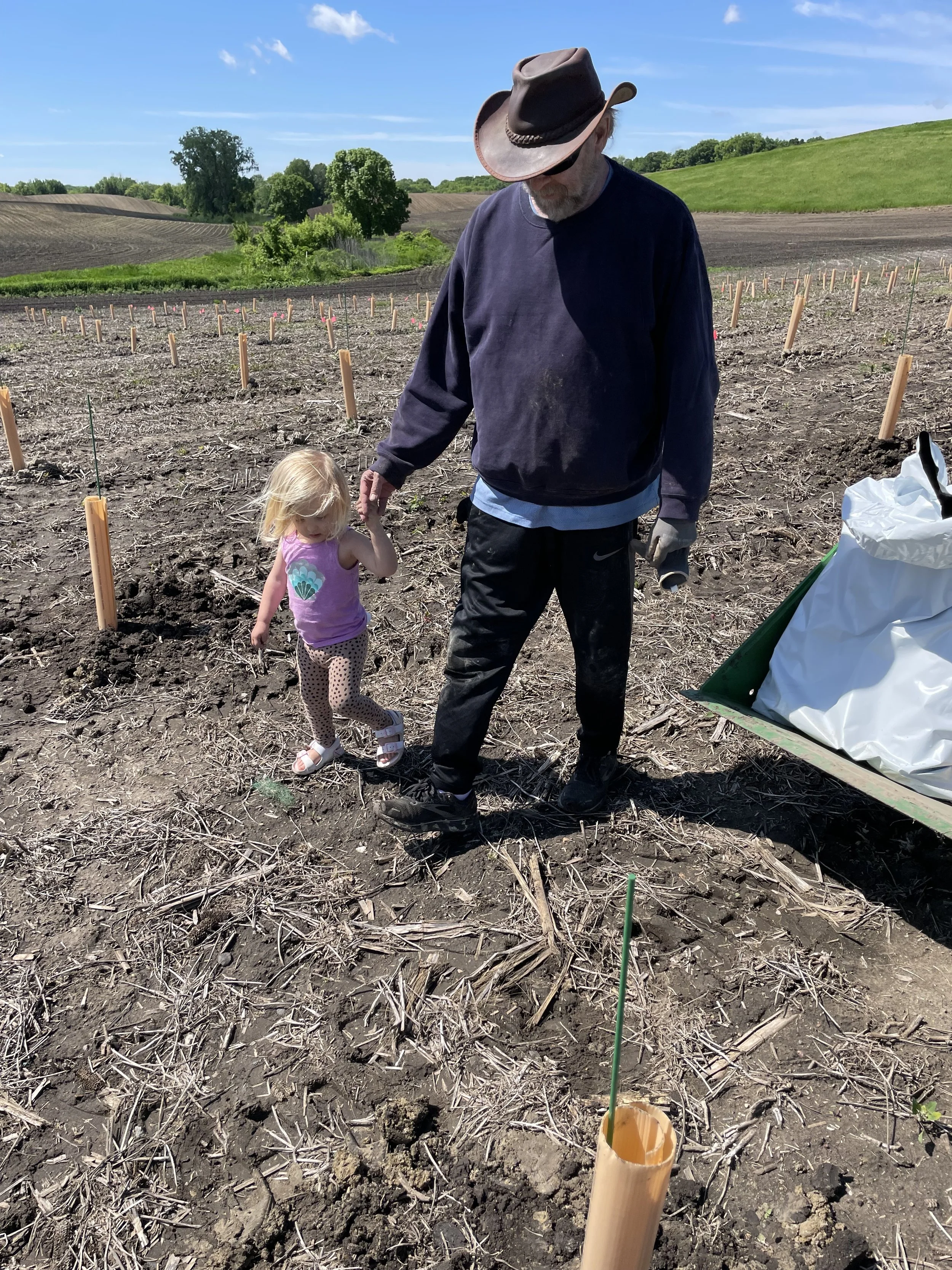 Grandpa's Little Helper