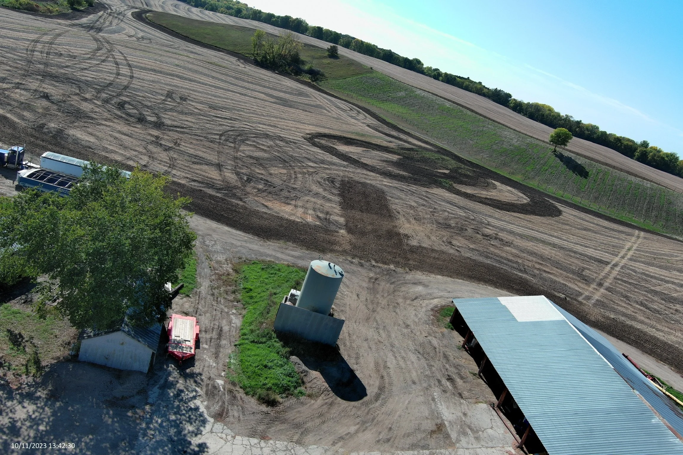 The Vineyard Before