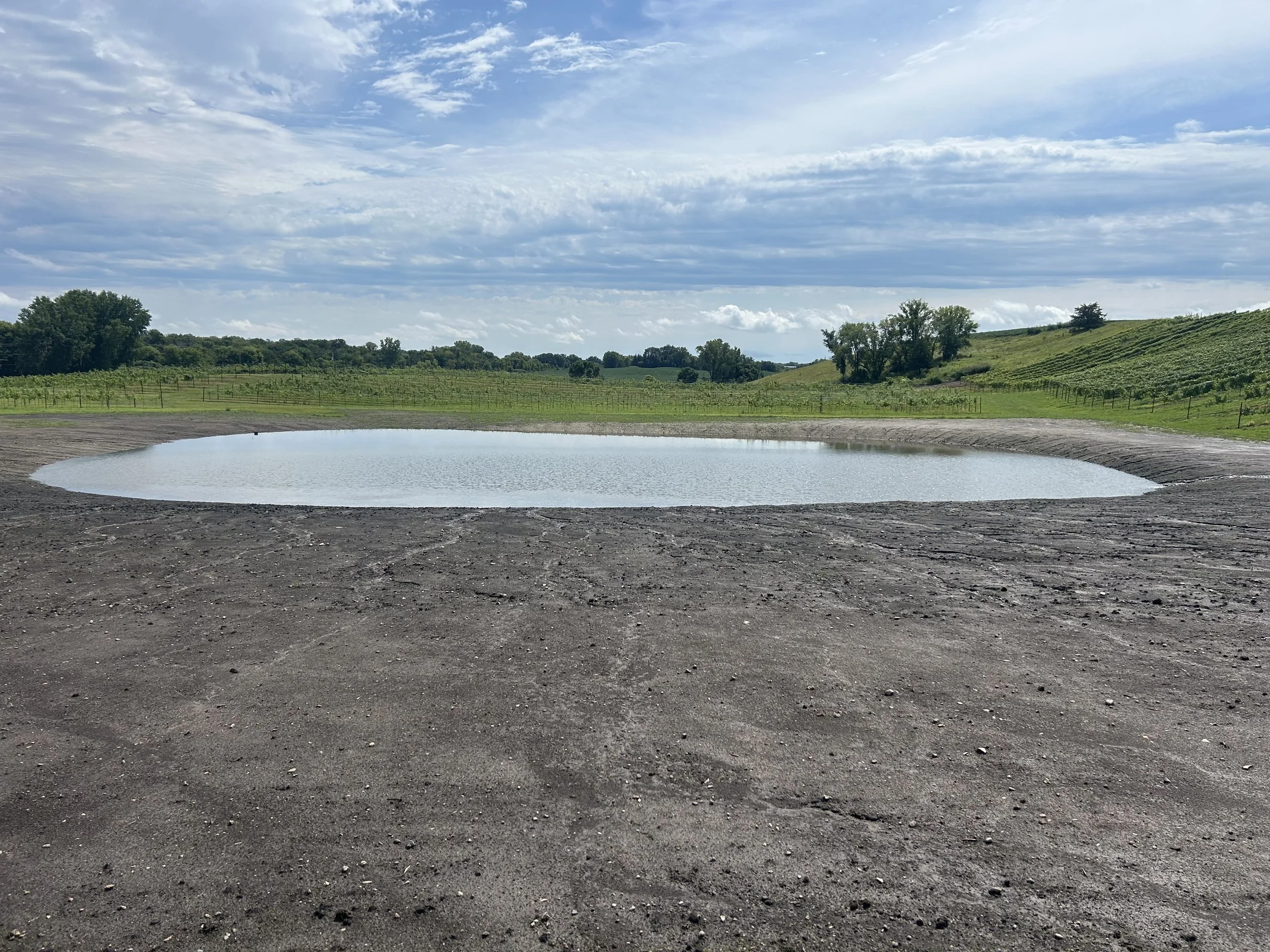 Pond Finally Full