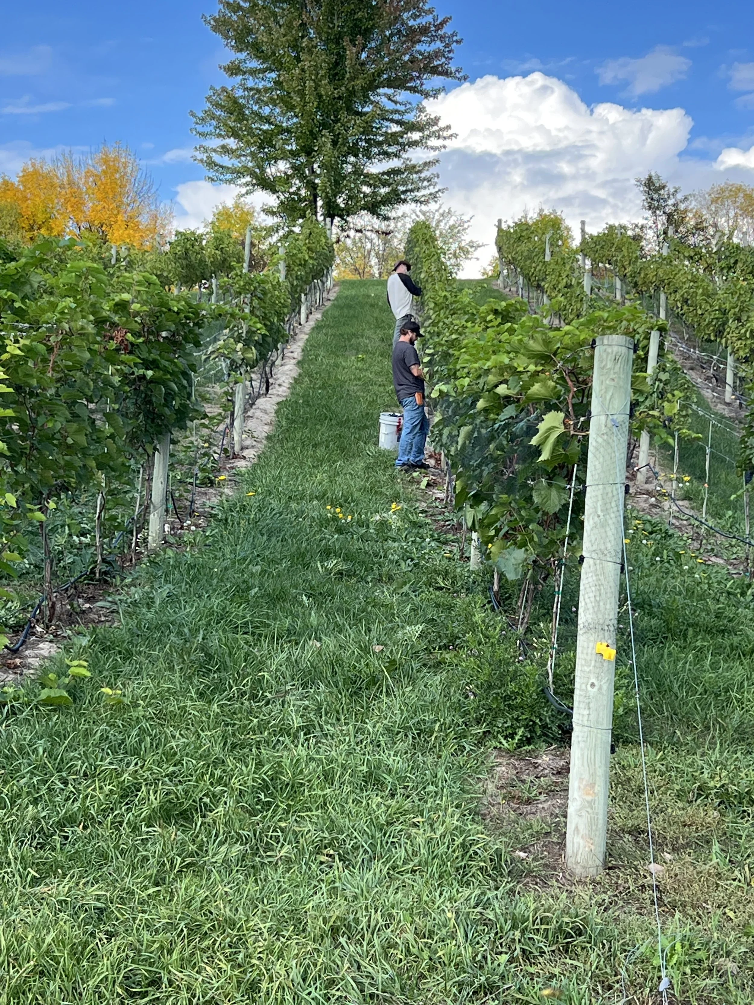 All Hands on Deck