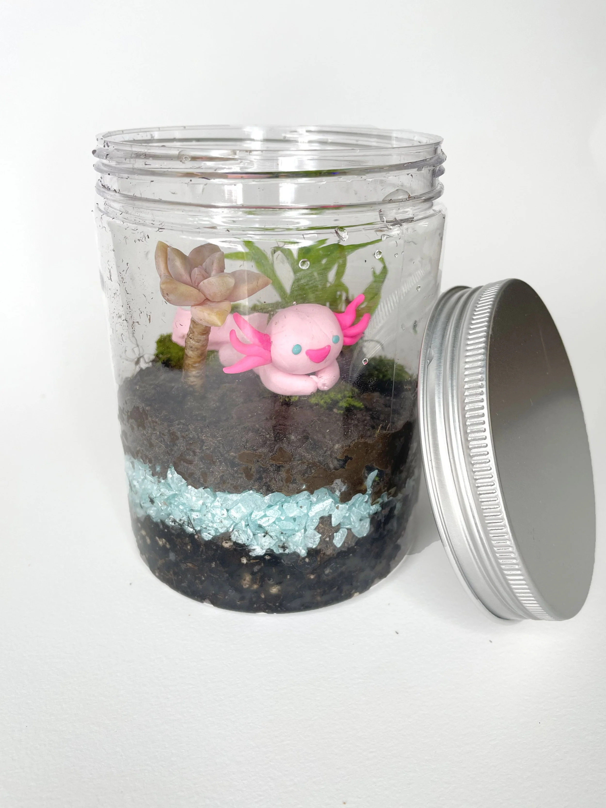 axolotl-oasis-terrarium.jpg