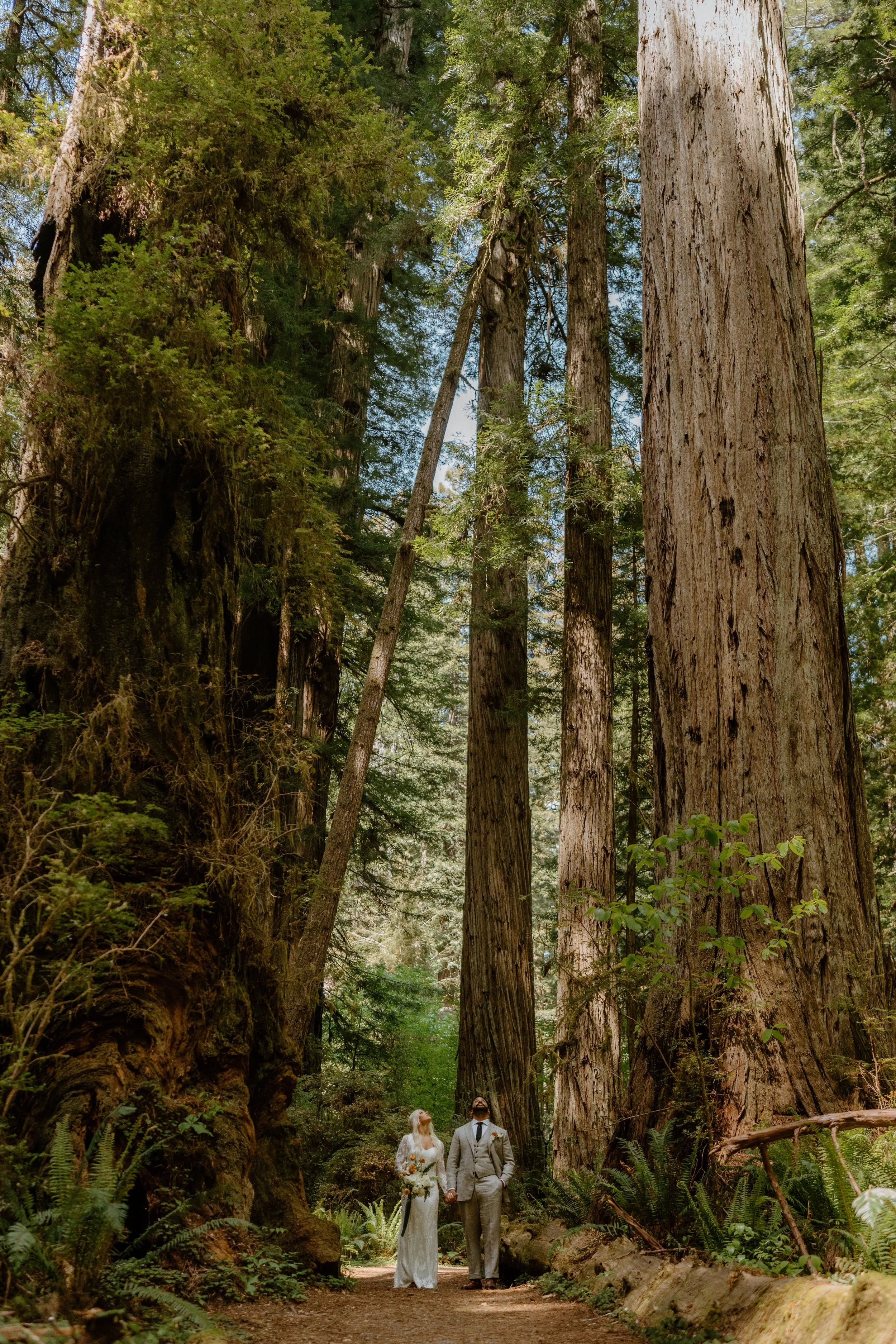 SHERYLANNEPHOTOGRAPHY_REDWOODS_WEDDING1-71.jpeg