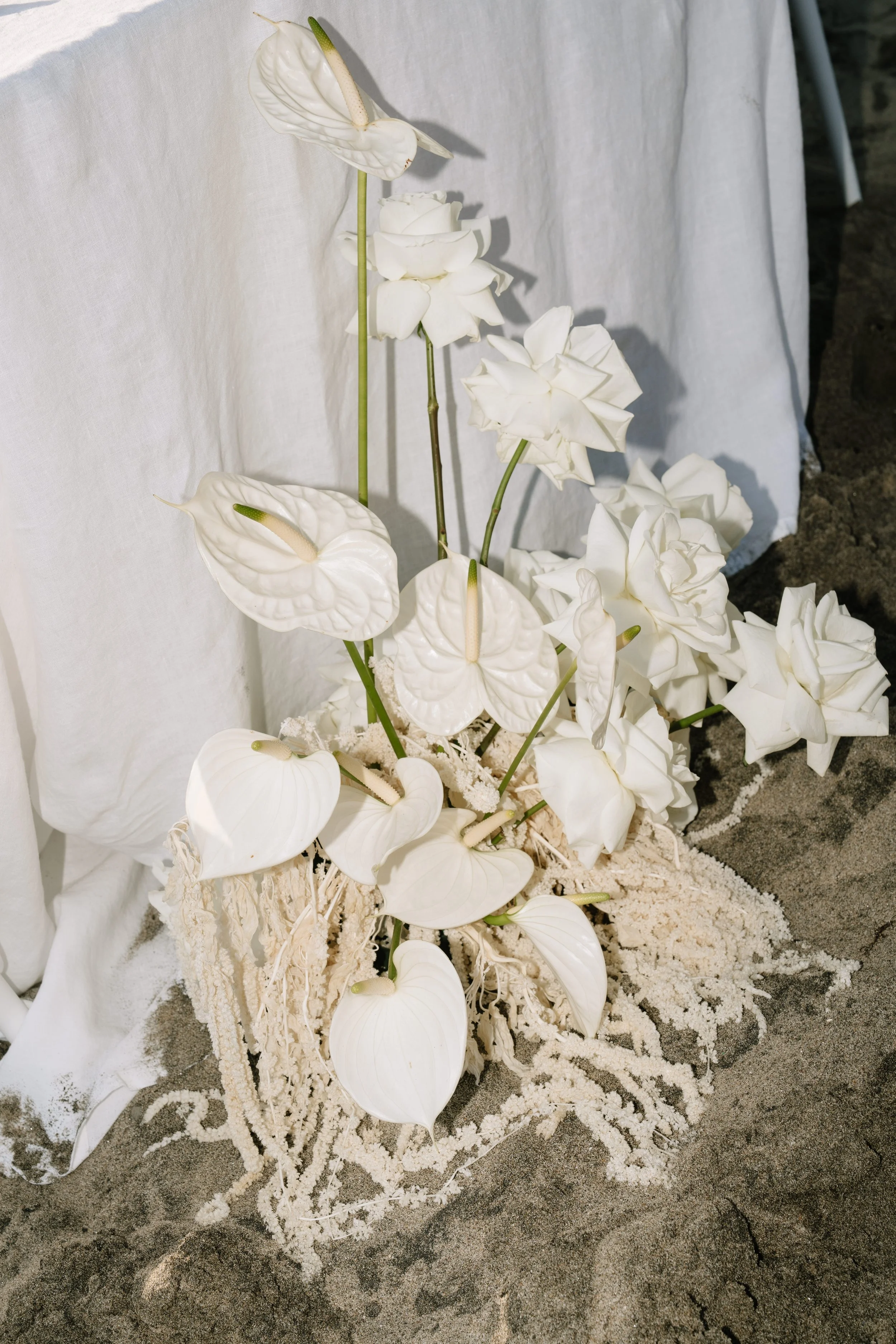 juliadavisco-02160.jpg