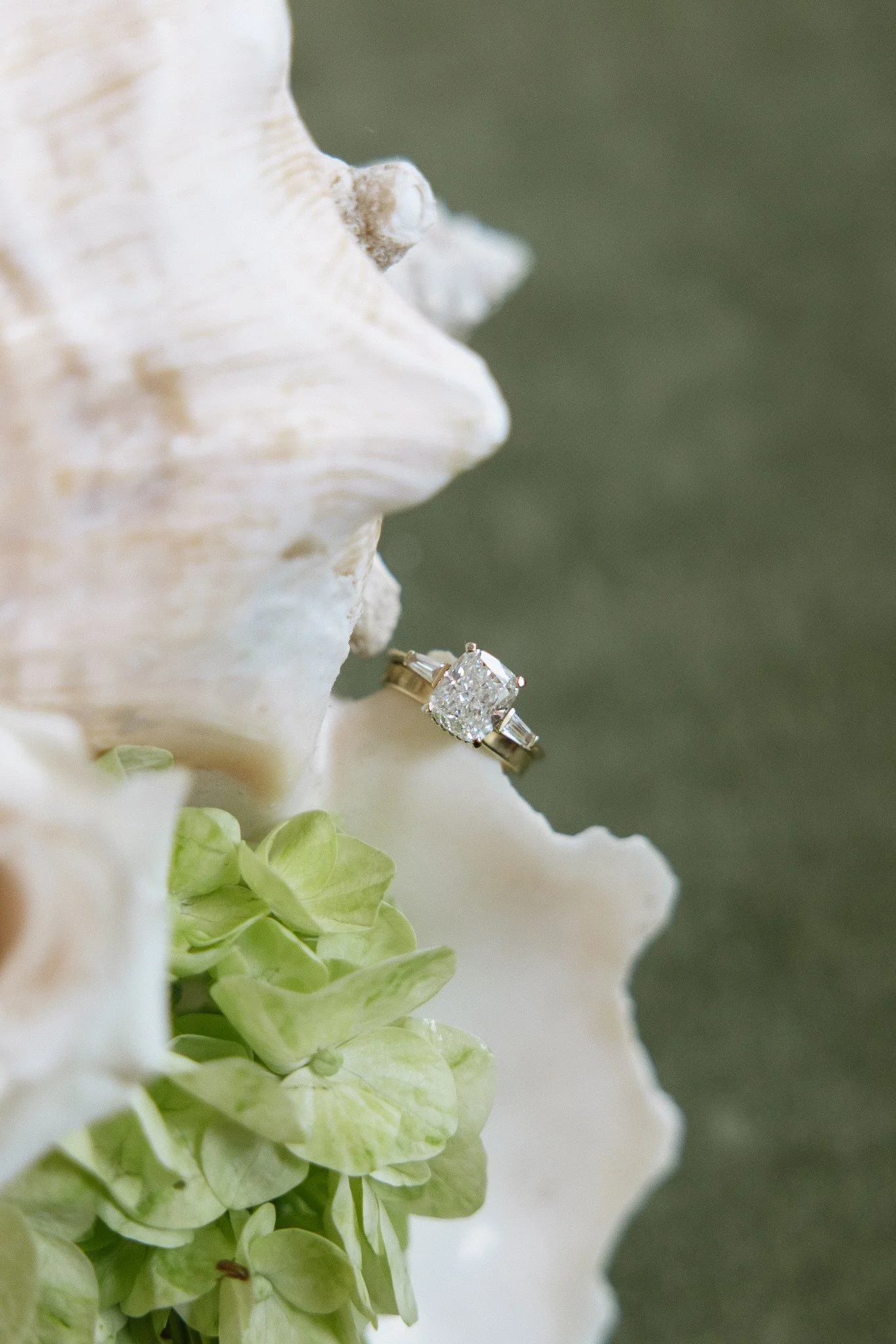 RevelWoodsPhoto-JensenPreviews-3648.jpg