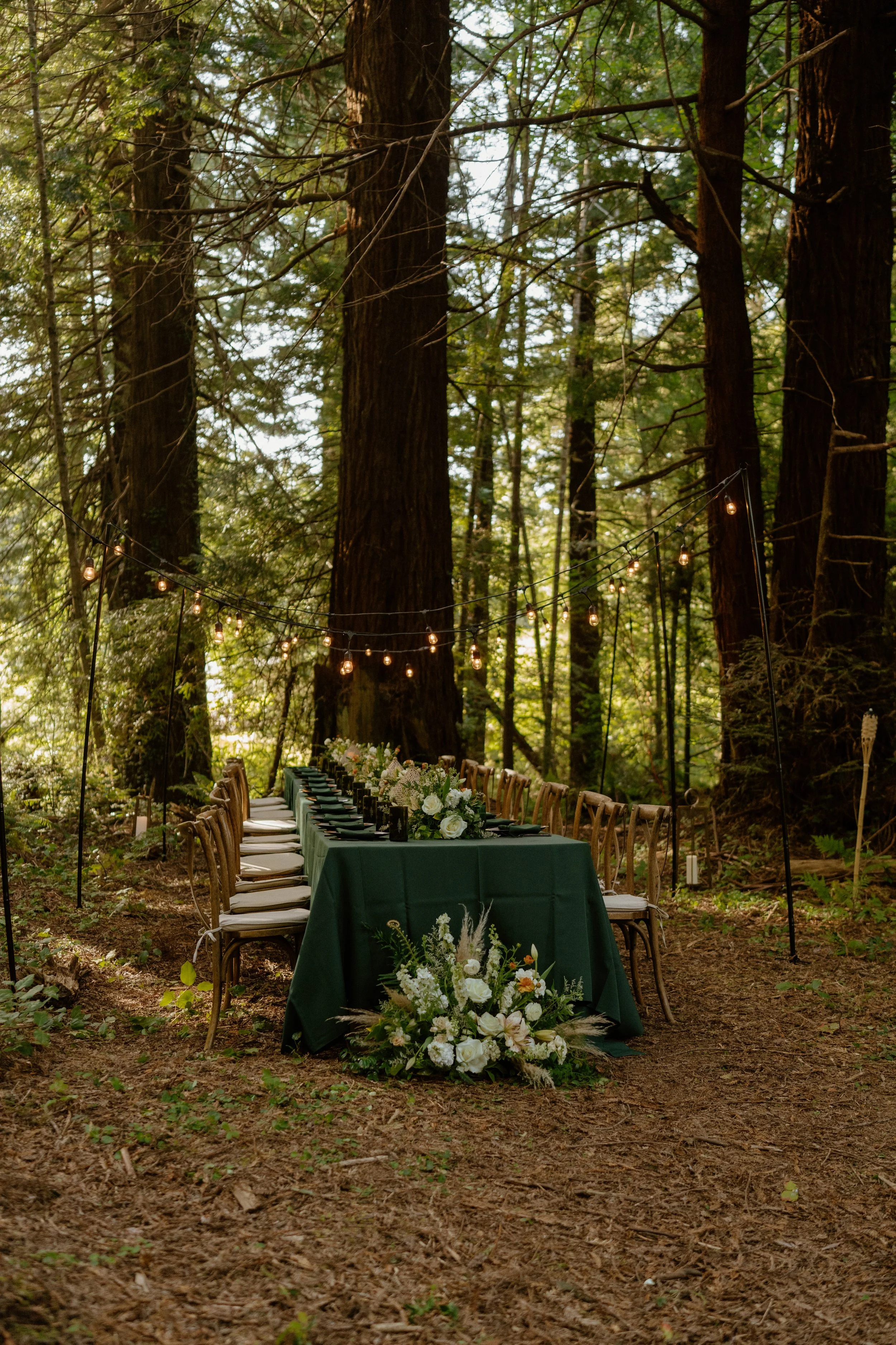 SHERYLANNEPHOTOGRAPHY_REDWOODS_WEDDING2-72.jpeg