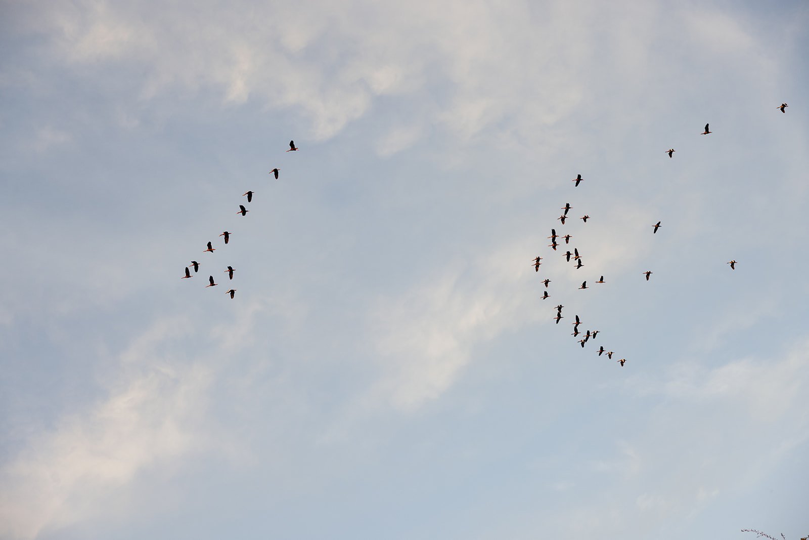 6D6A9155_websize.jpg