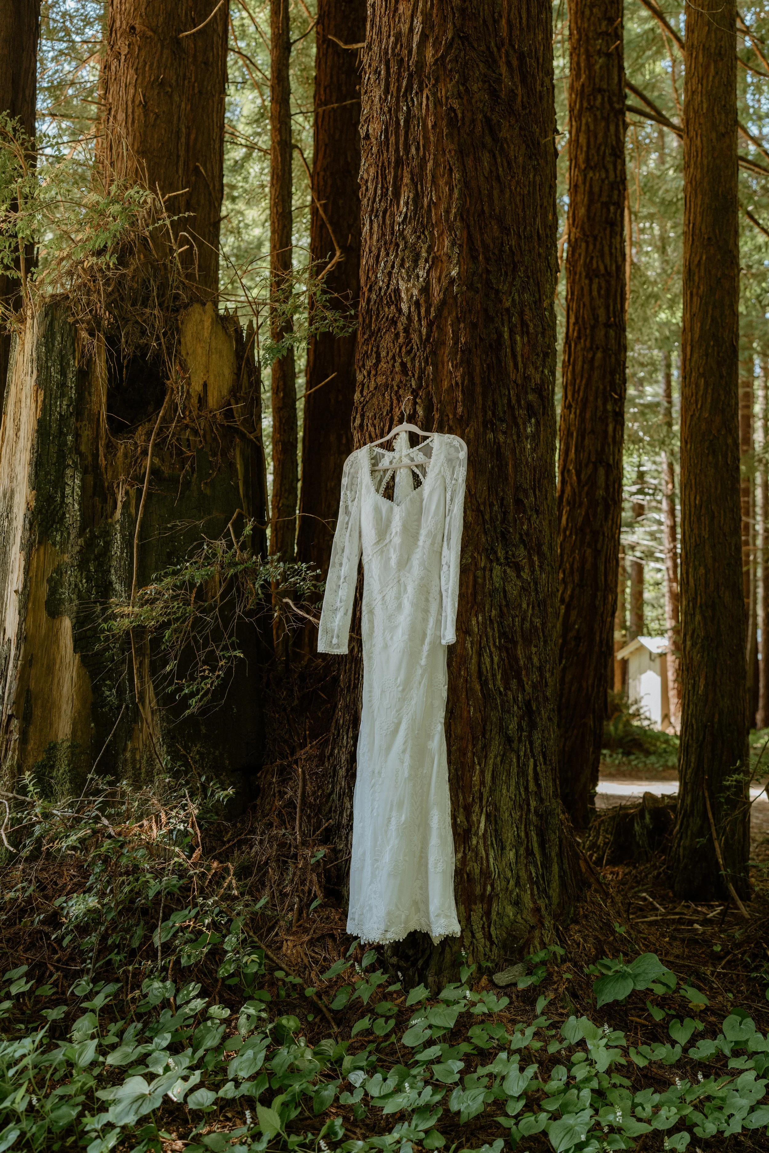 SHERYLANNEPHOTOGRAPHY_REDWOODS_WEDDING1-6.jpeg