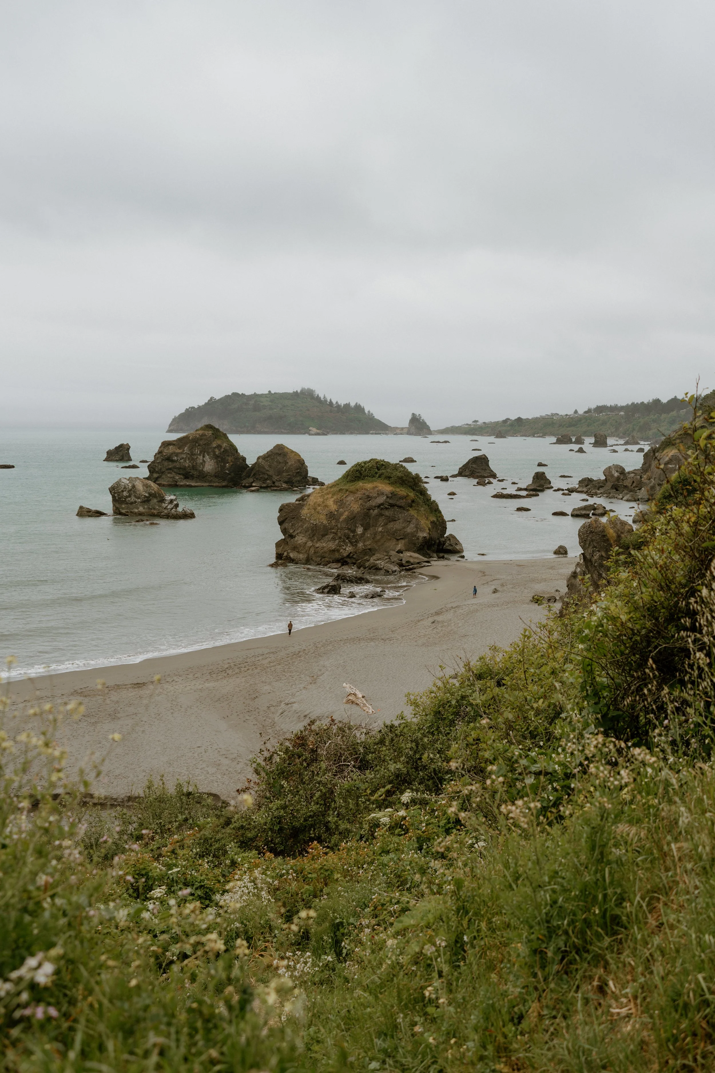 SHERYLANNEPHOTOGRAPHY_REDWOODS_ADVENTURE-117.jpg