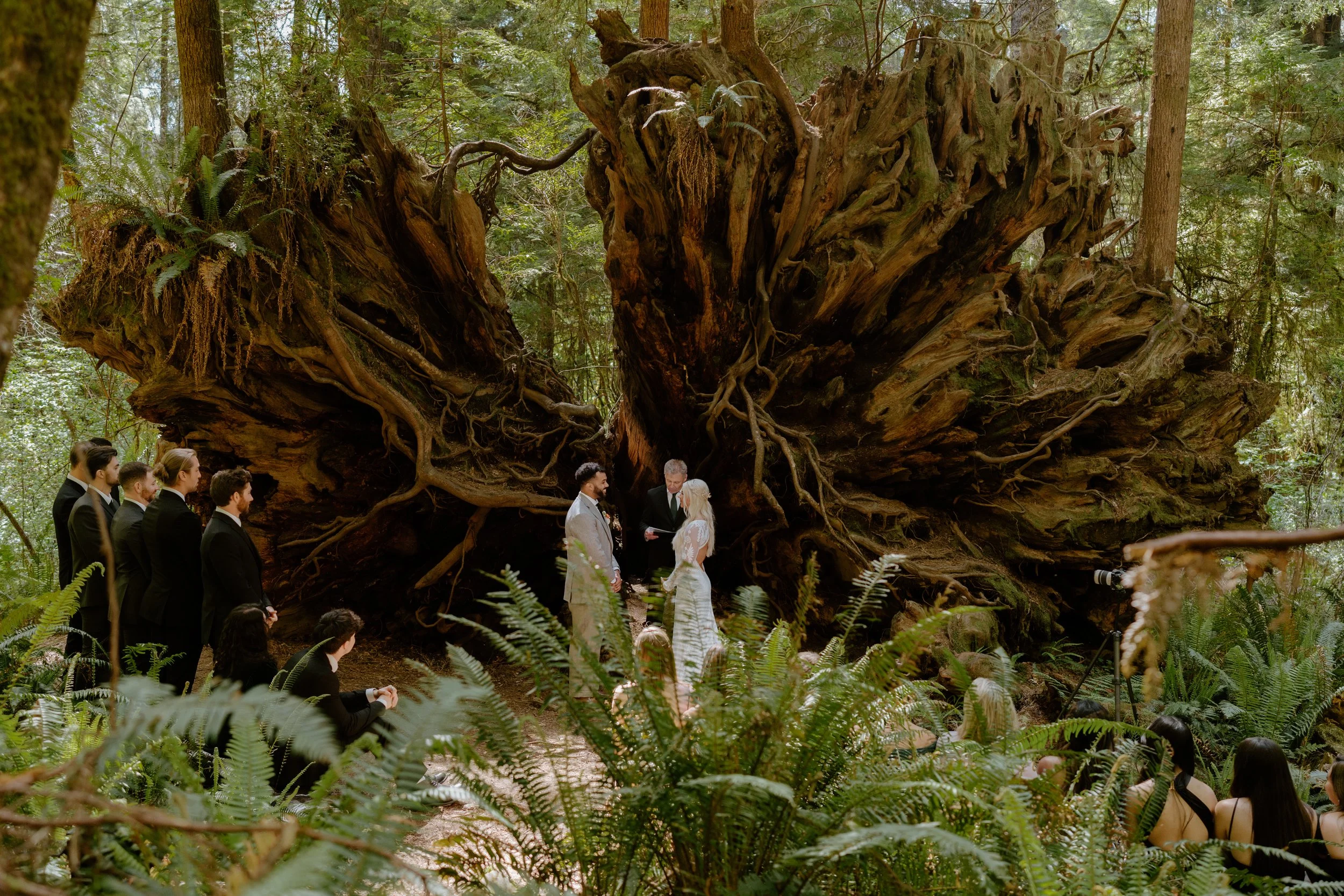 SHERYLANNEPHOTOGRAPHY_REDWOODS_WEDDING1-131.jpeg