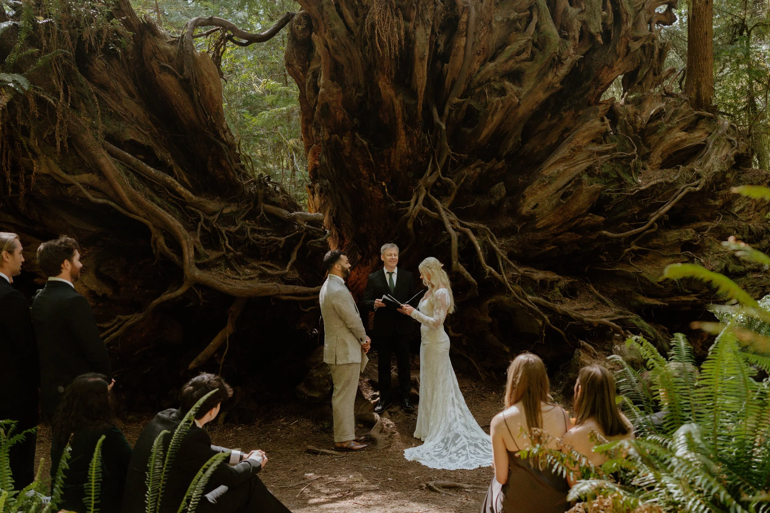 SHERYLANNEPHOTOGRAPHY_REDWOODS_WEDDING1-149.jpeg