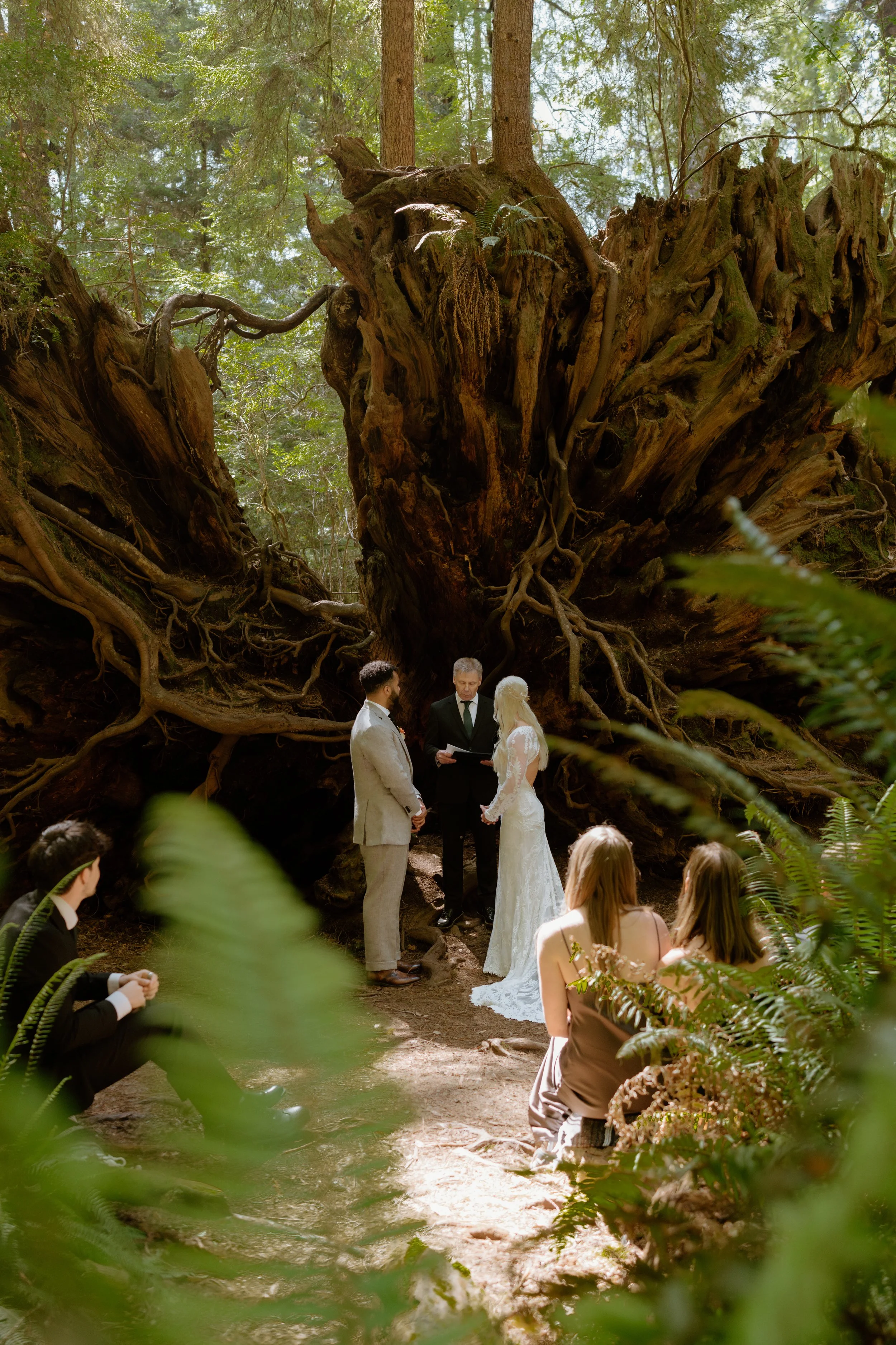 SHERYLANNEPHOTOGRAPHY_REDWOODS_WEDDING1-129.jpeg