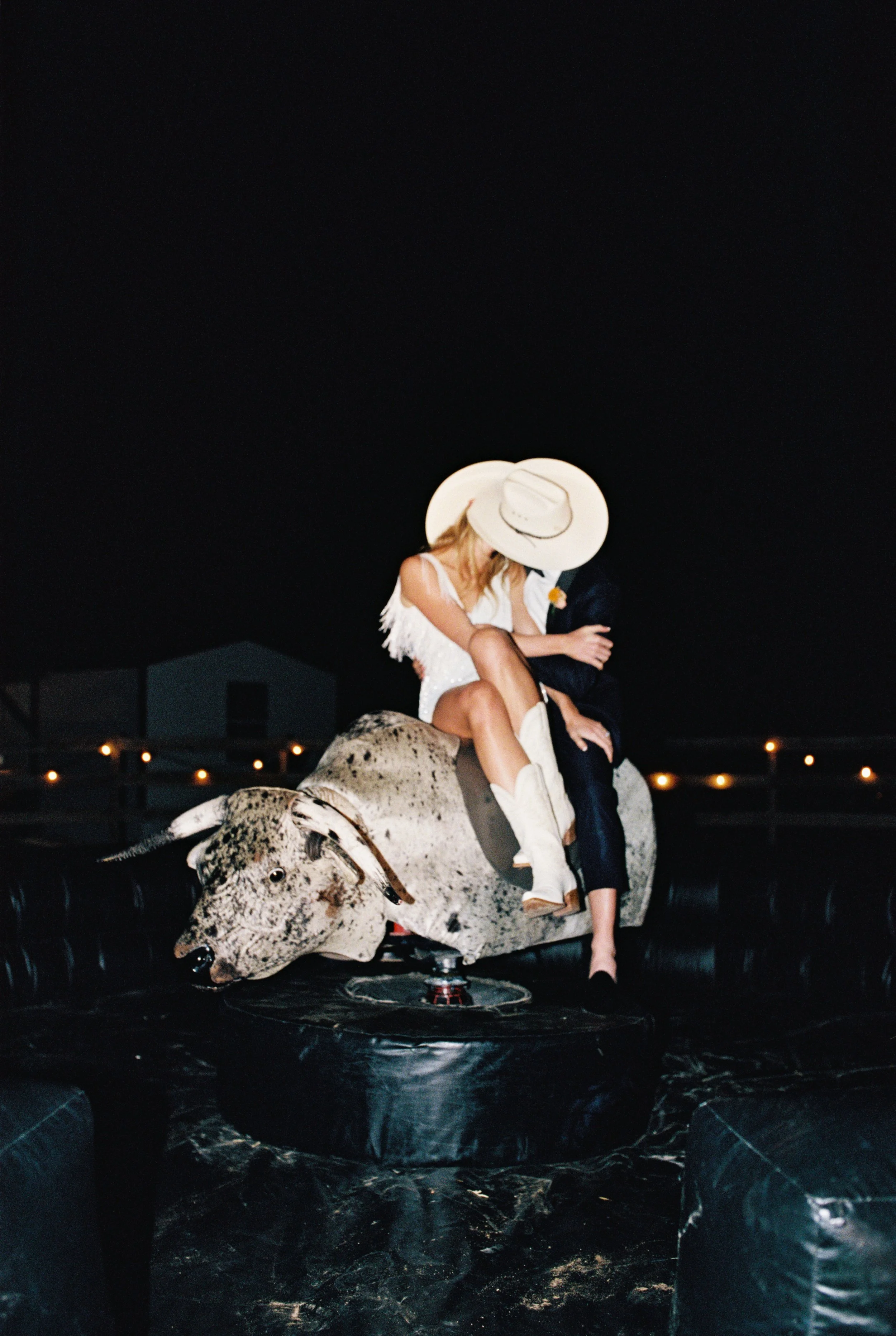 Bull-1.jpg