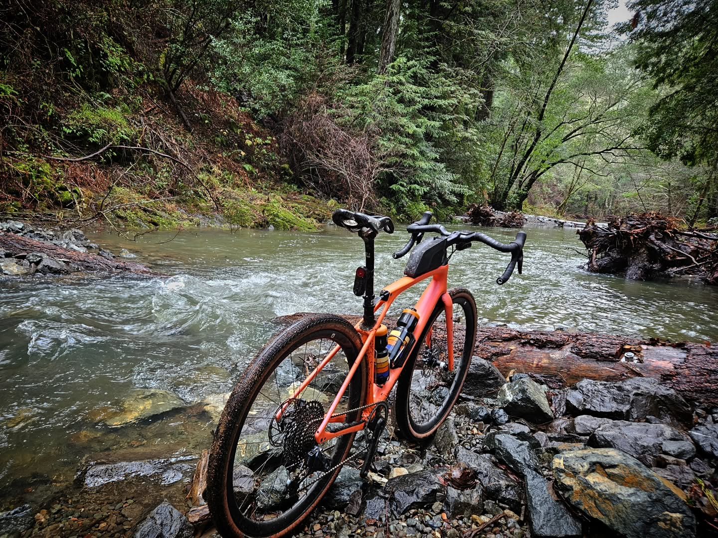 Get out, do the rides. Bring a jacket , some lights,and eat 🍪. Look for salmon 🐟 and mushrooms 🍄 . 
Take the break without taking a break. 

#bikesbikesbikes