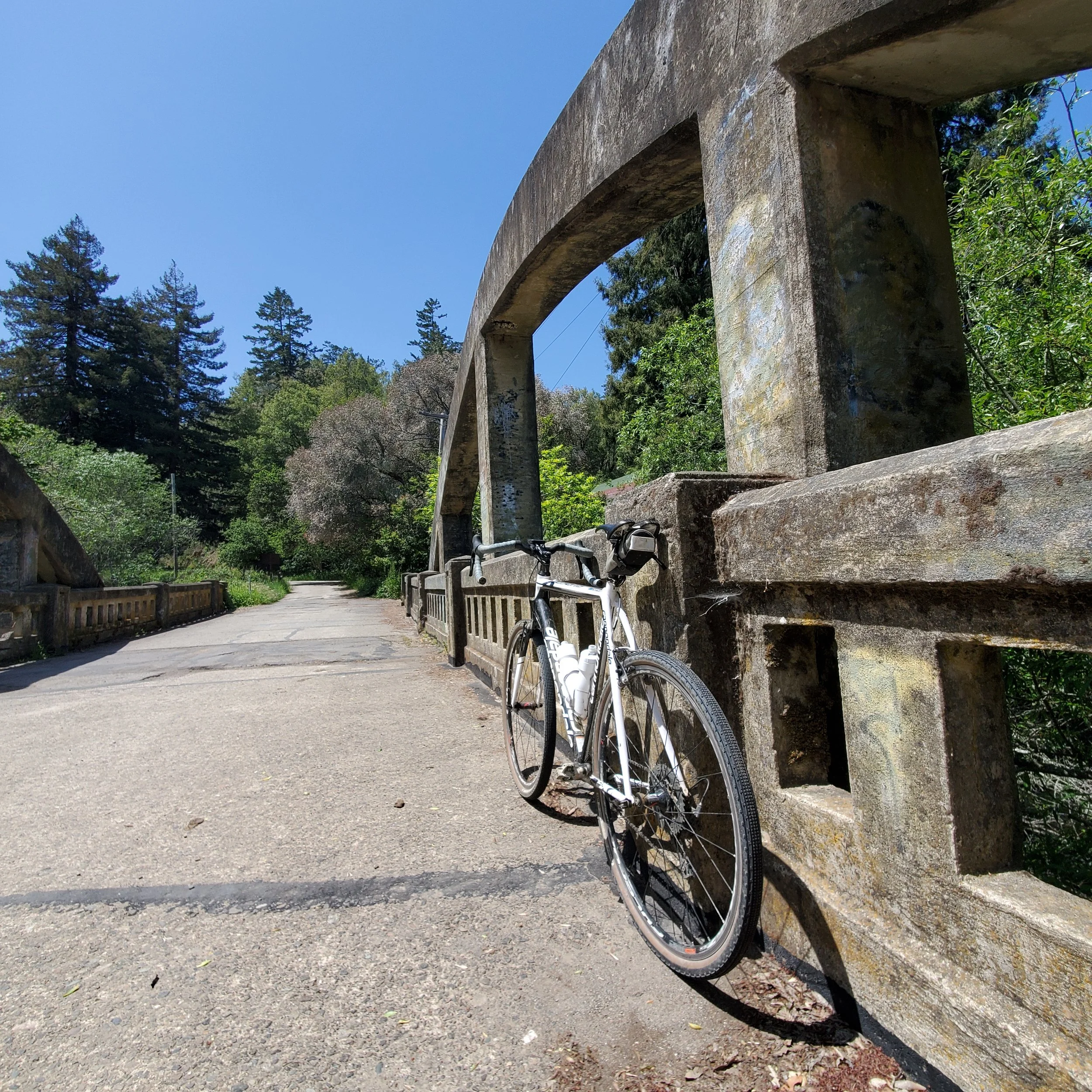 Fueling Your Marin Century Ride