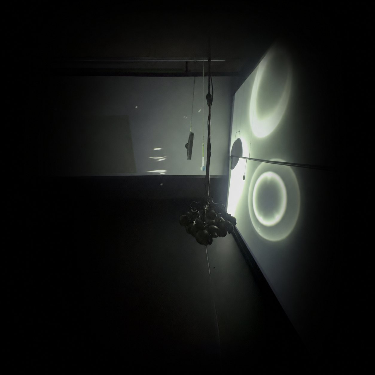 exec-608b3f5e-7981-43e9-a918-4e59d9dd000d.png