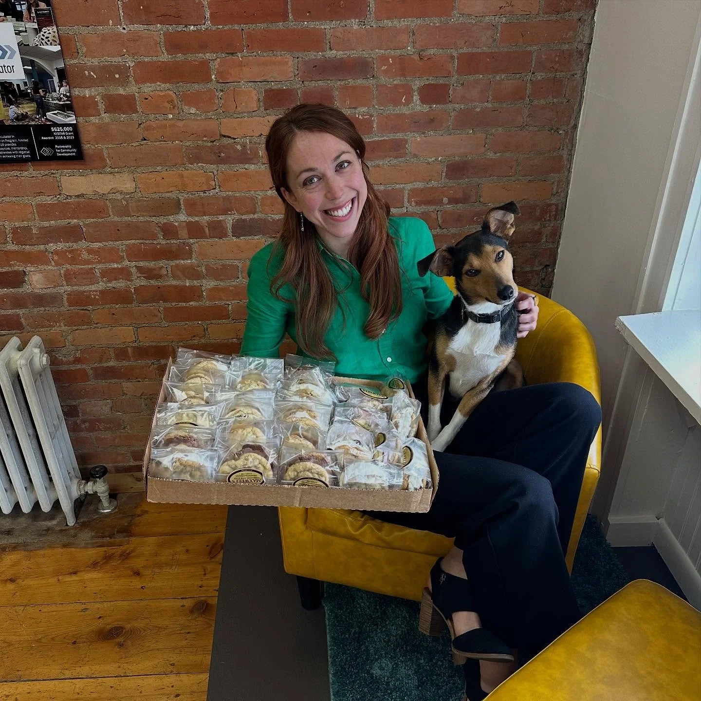Thank you @maxwellschocolates for making yummy ice cream sandwiches for today&rsquo;s September Social at the Hub! All are welcome to today&rsquo;s event (Noon - 2:30pm) at The Hub - 8 Lebanon in Hamilton 

Josie 🐾 &amp; I will see you there!