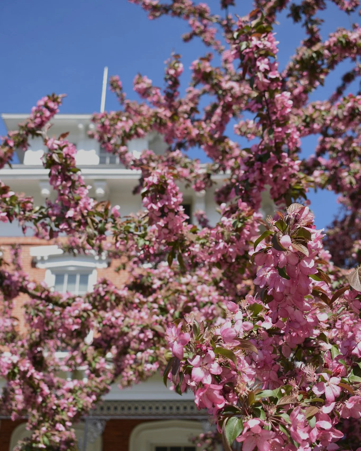 The Central New York Community Foundation  is inviting Madison County residents to help decide how $75,000 will be spent in our community! 

This initiative is part of the @cnycf's 100th anniversary celebration, which they will officially mark in 202
