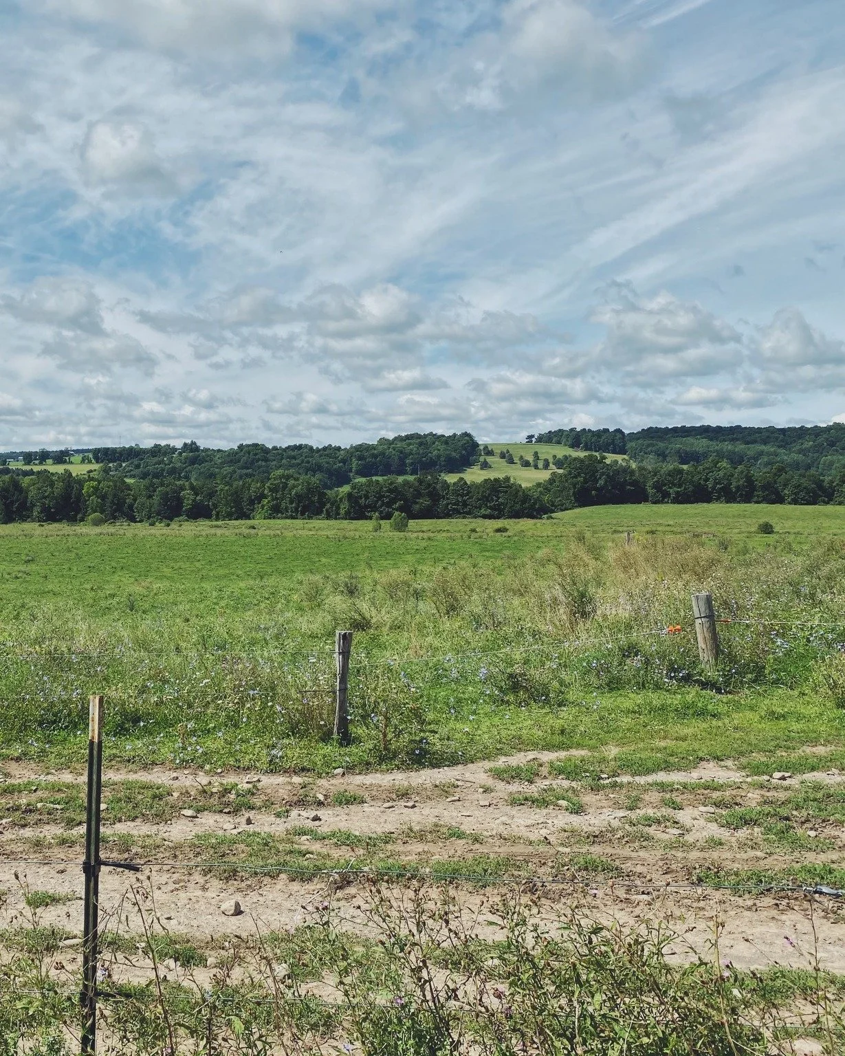PCD Director of Economic Development, Melissa Davis, is heading to Earlville on Thursday, June 4th to lead an event at Wild Bunch Cafe!

We hope you will join for Coffee Conversations, presented in partnership with the @ccemadisoncounty, the CNY Dair
