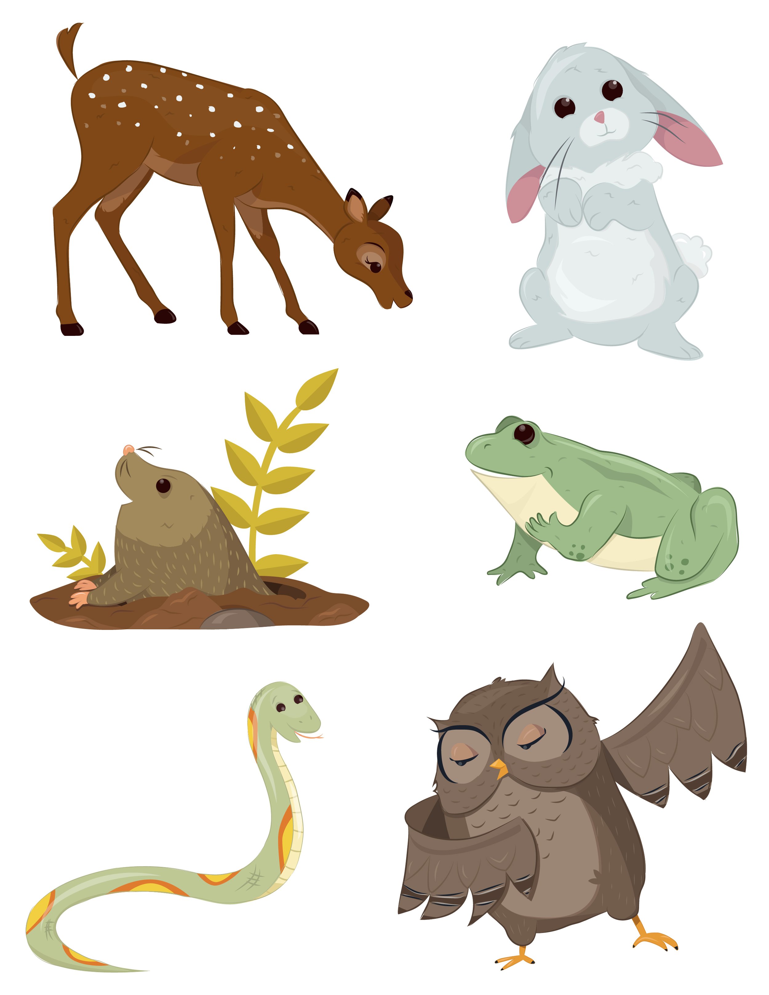 All Animals Submission-01.jpg