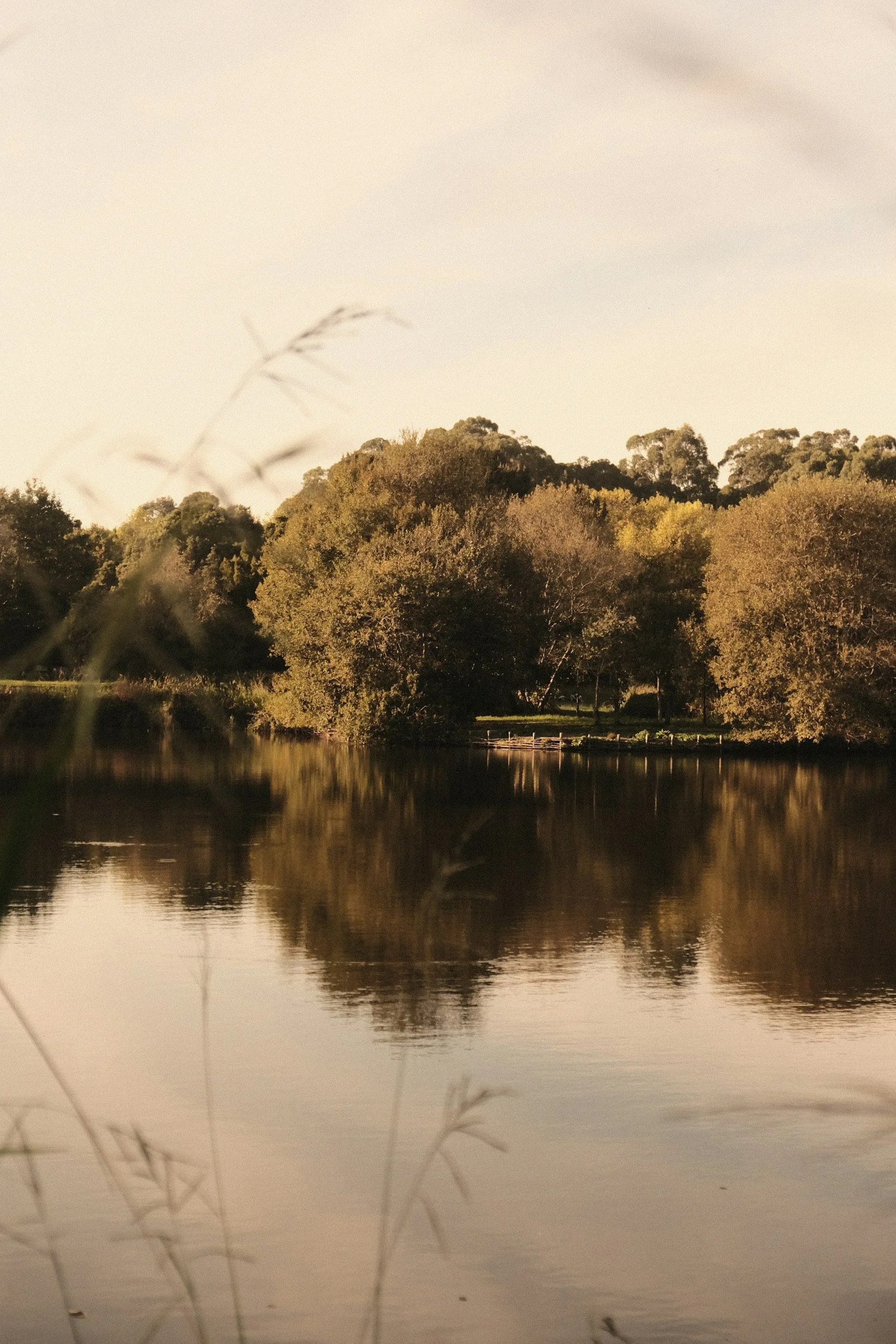 A serene landscape with a calm lake reflecting trees and a clear sky, taken during sunset.