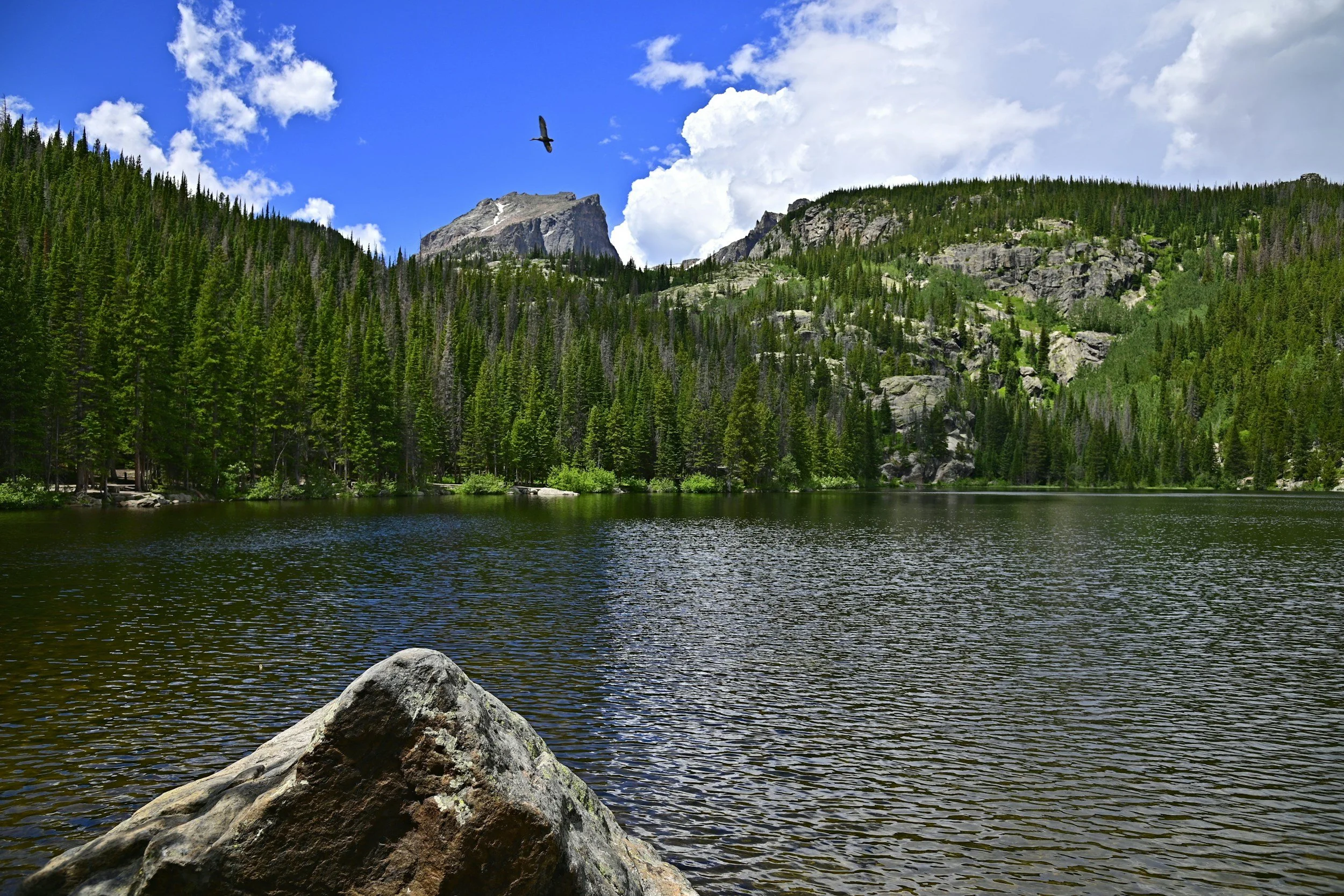 Couples Therapy in Colorado — When the Relationship Needs Support