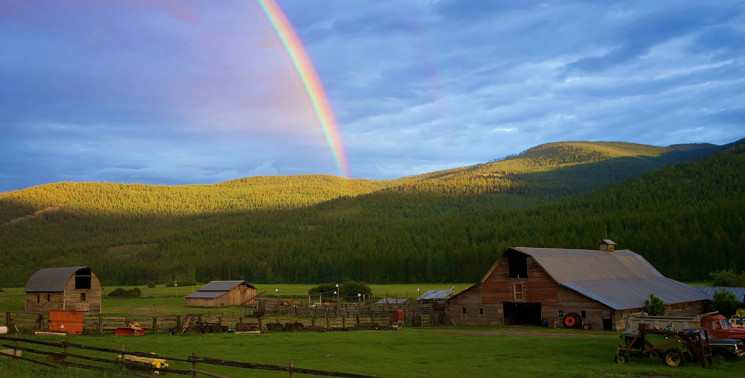 Finding an ADHD Therapist in Idaho — What to Look For