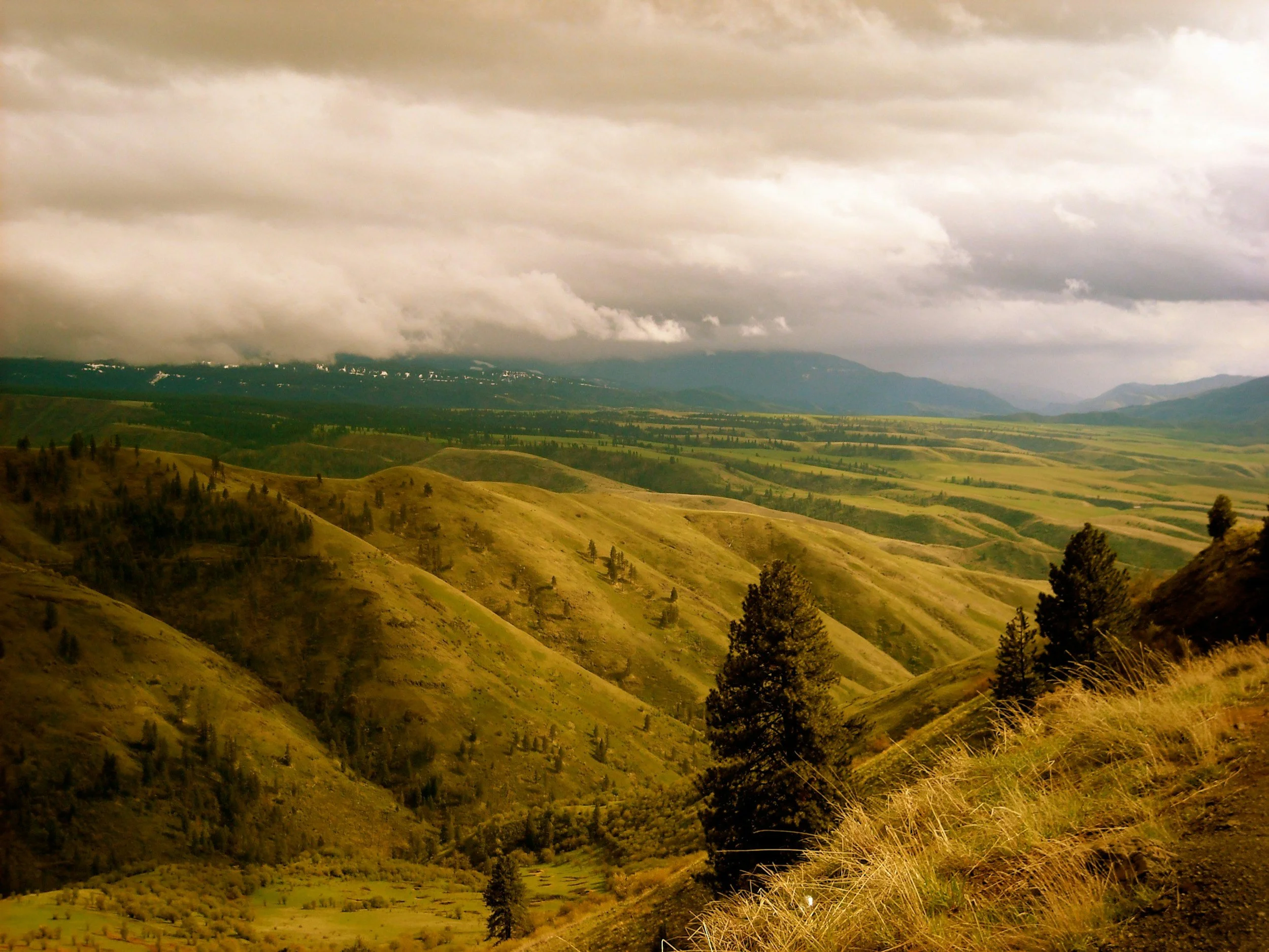 OCD Therapist in Boise — Virtual Specialized OCD Treatment
