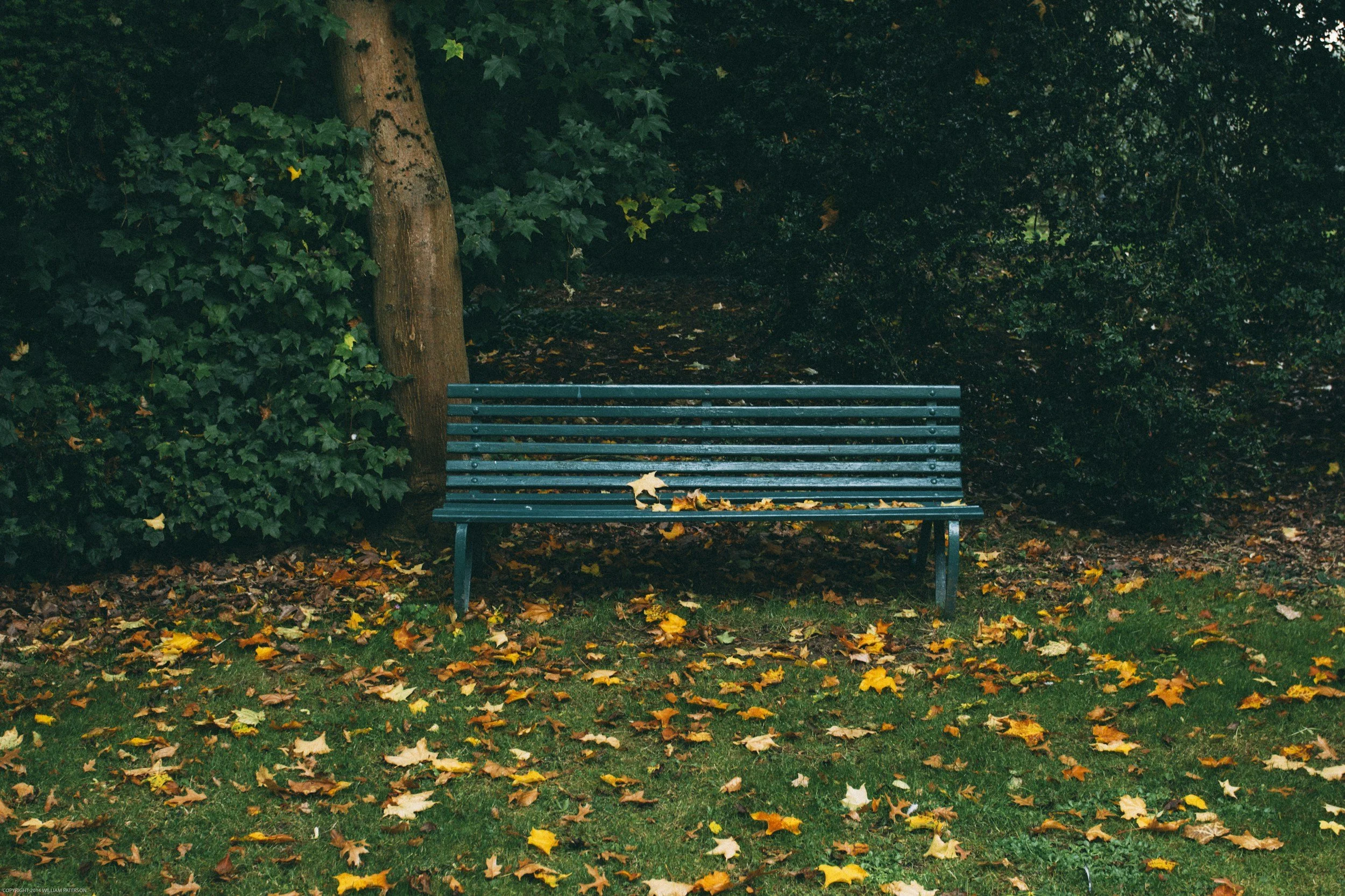 Executive Dysfunction or Avoidance? Separating ADHD from OCD in Task Non-Completion