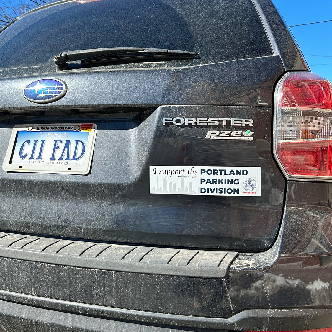 license.jpg