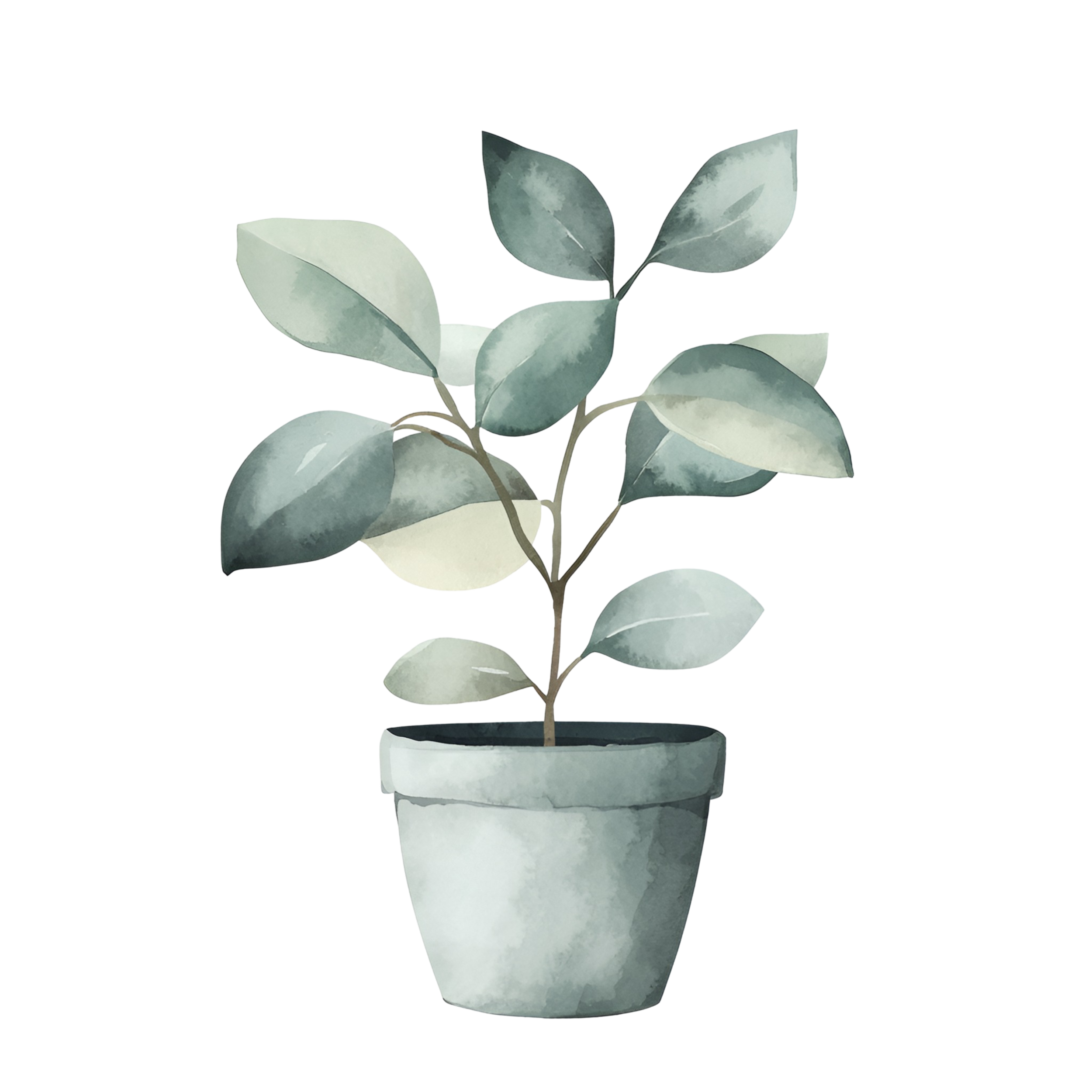 Illustration of a potted plant with green and gray leaves.
