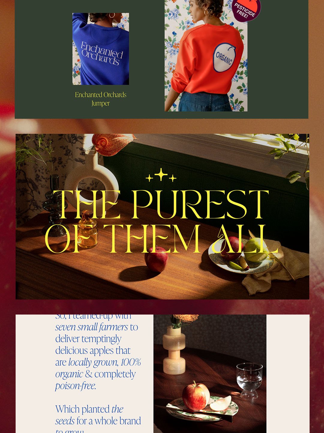 A_NEW_CHAPTER_WEBSITE_ARTBOARDArtboard 27.jpg