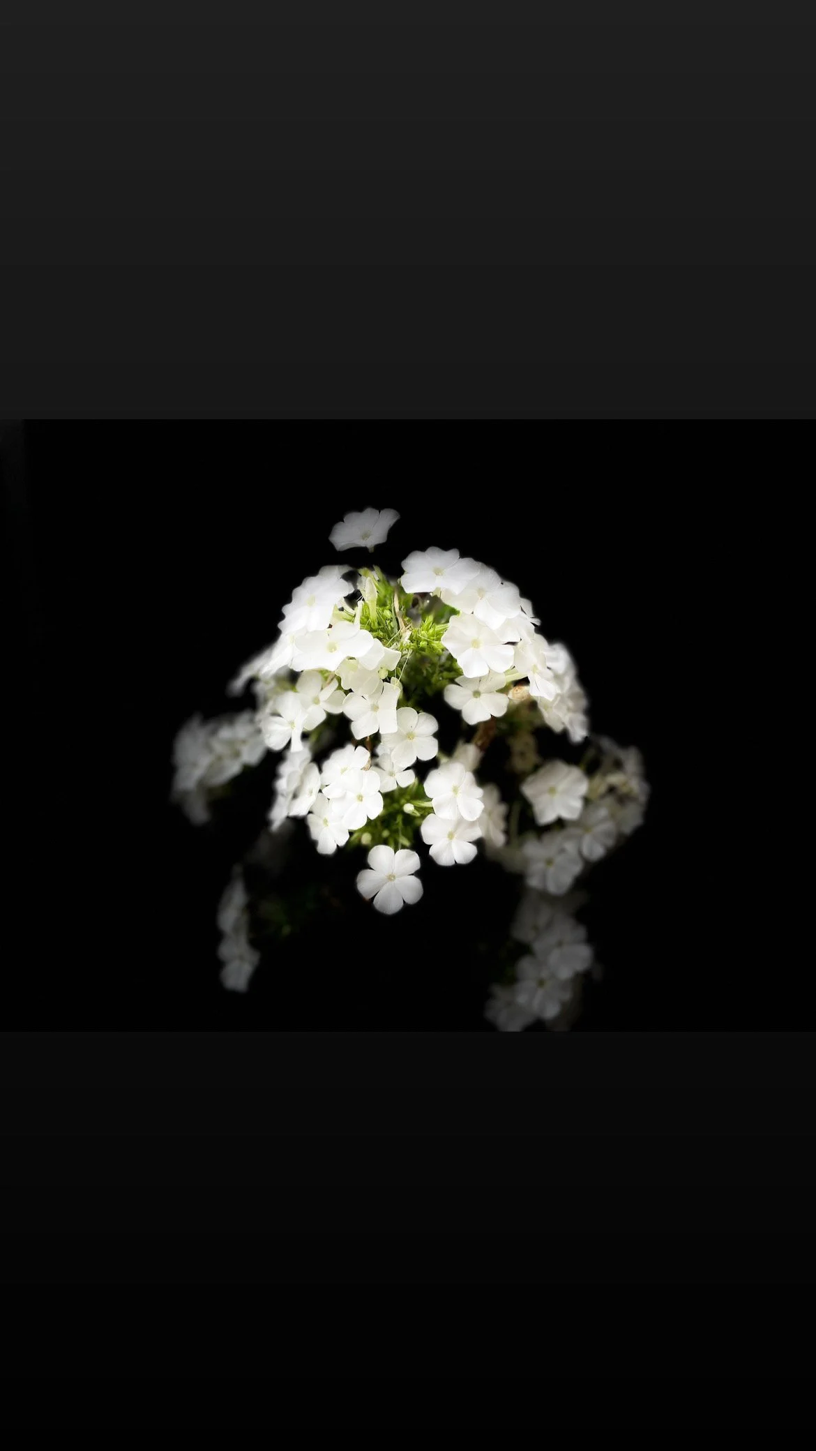 Be NaTUREAL Photography