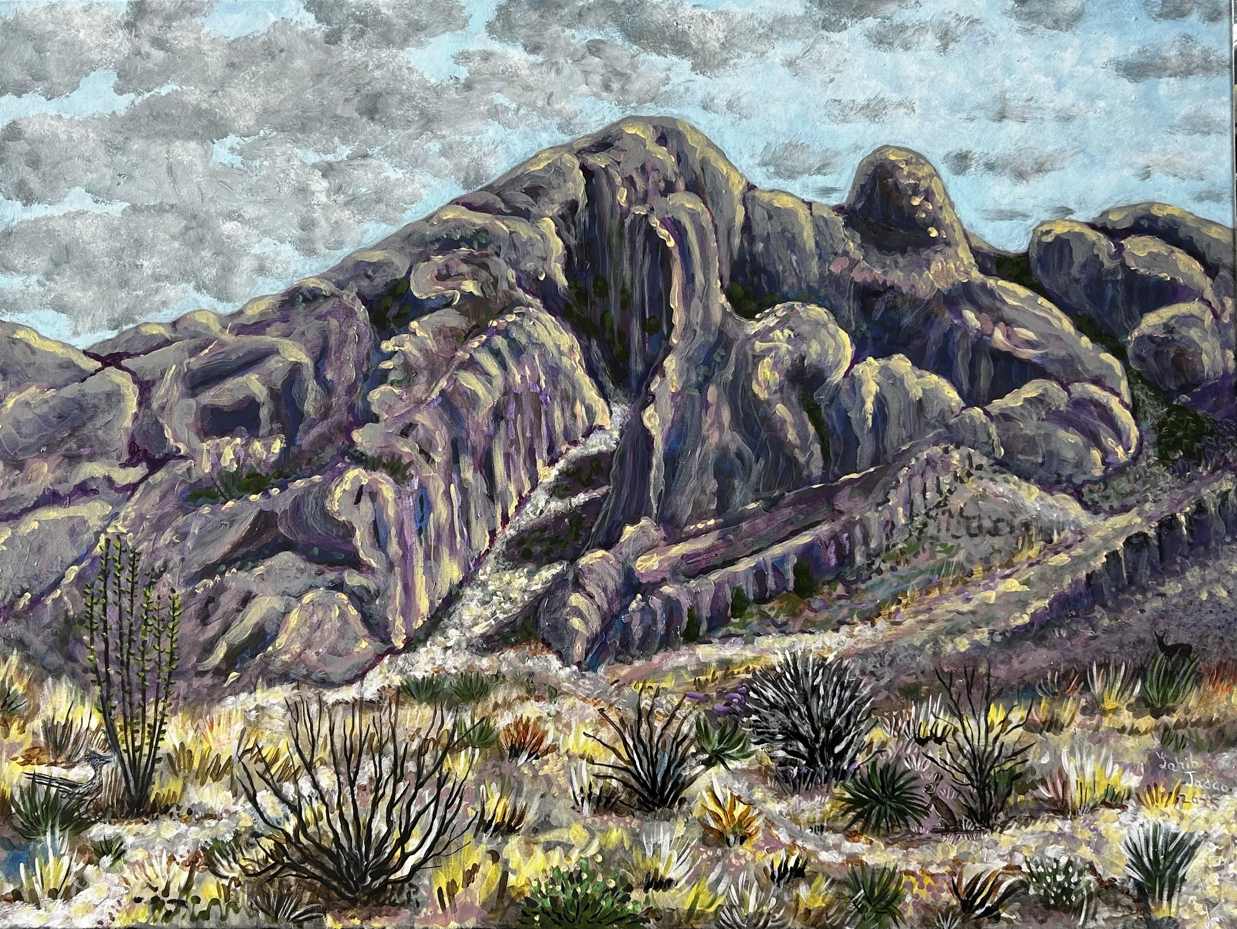 Dripping Springs II, NM, 30”x40”, Acrylic on Canvas, 2025