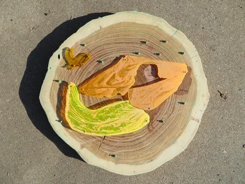 Flying Lesson, Mixed Media, 2013