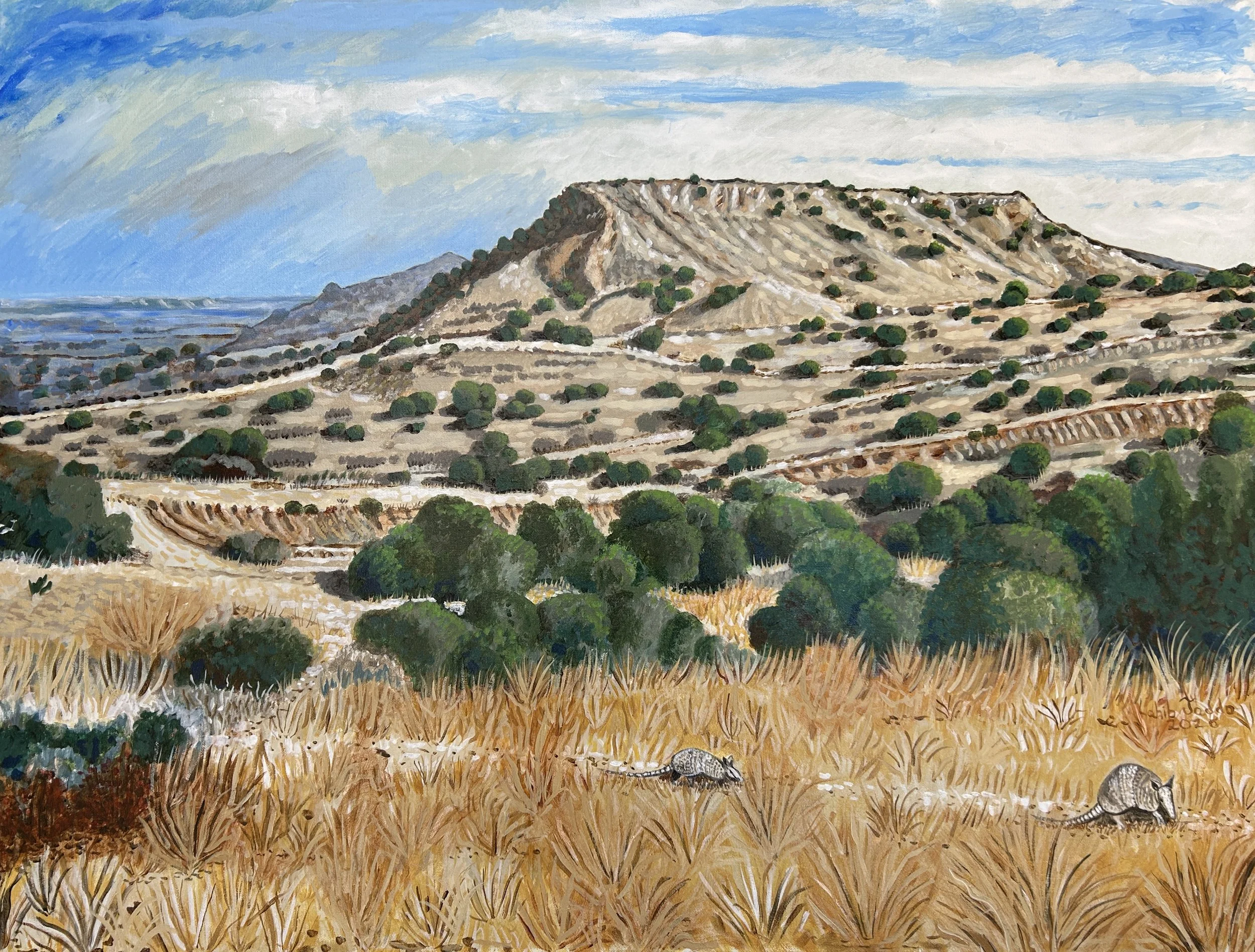 Hill at 33.36N101W, 30”x40", Acrylic on Canvas, 2025