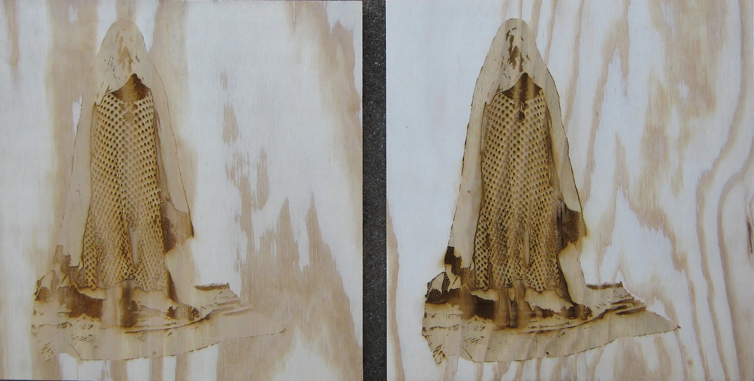 Archetypes Diptych X, 12” x 23”, 2009