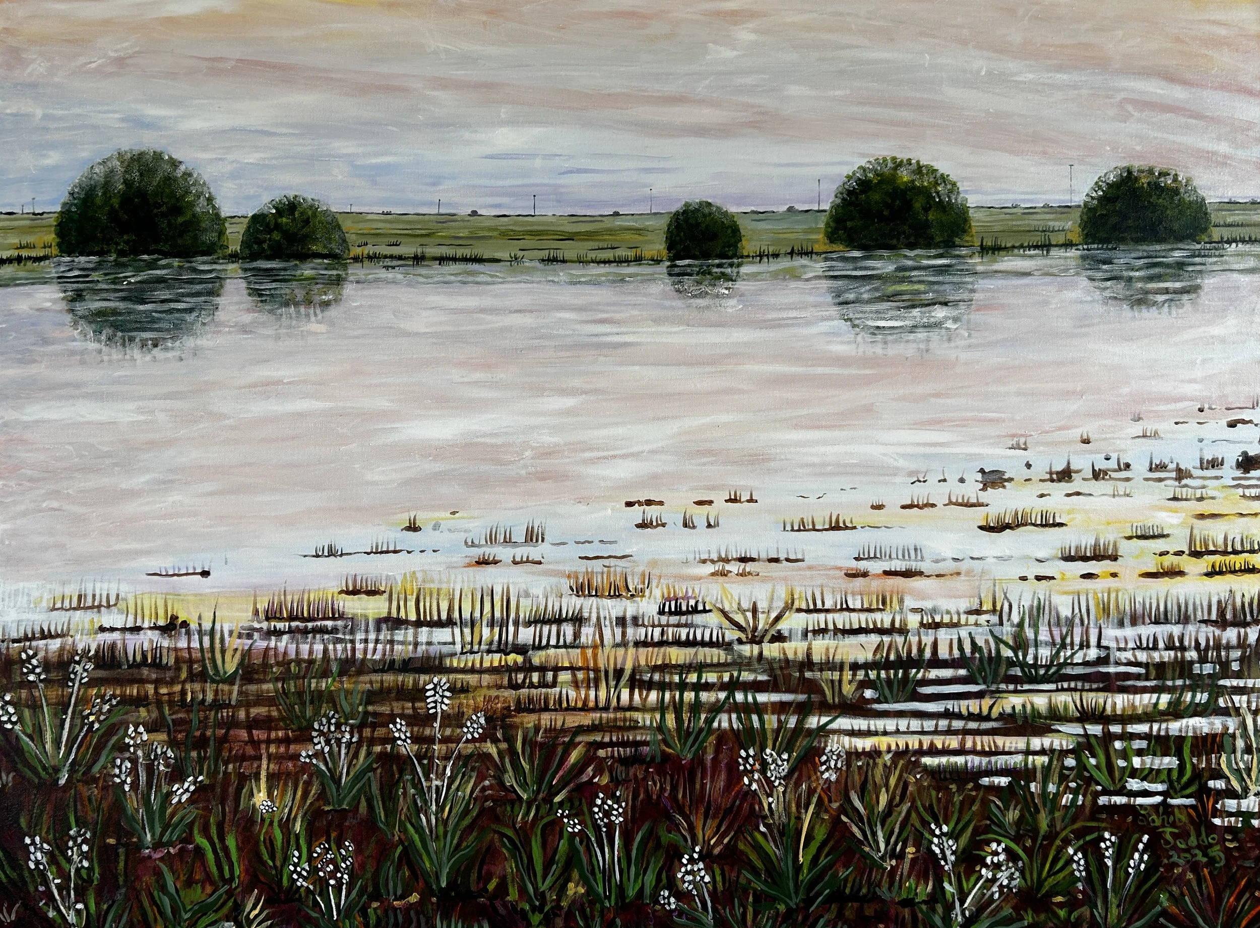Playa With Ducks, 36”x48”, Acrylic on Canvas, 2025