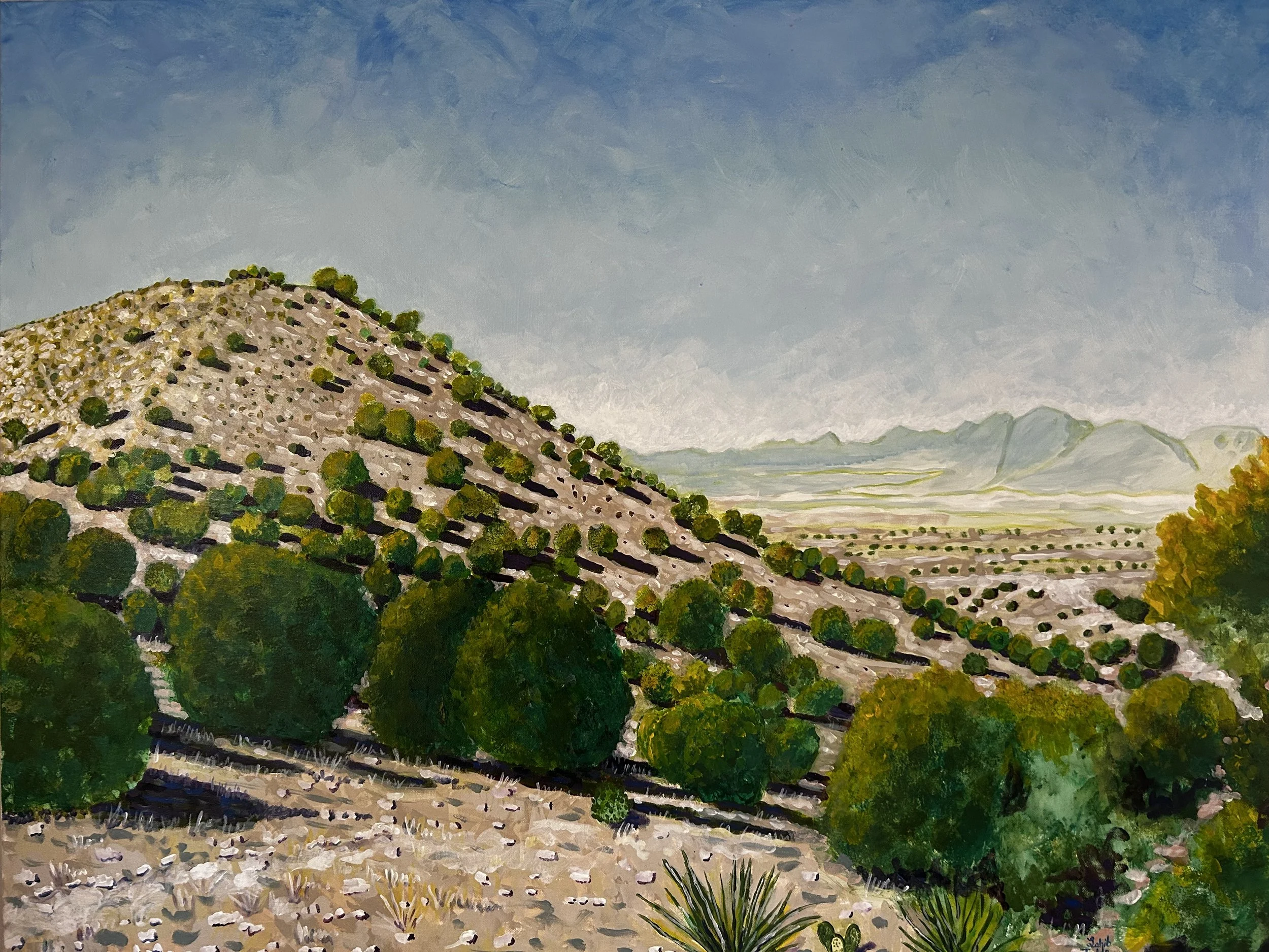 Three Rivers, NM, 30”x40”, Acrylic on Canvas, 2025