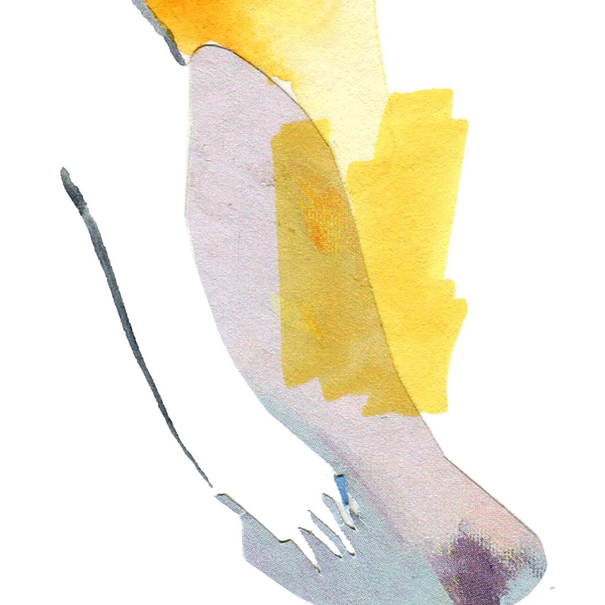 Bright No.6 closeup.jpg