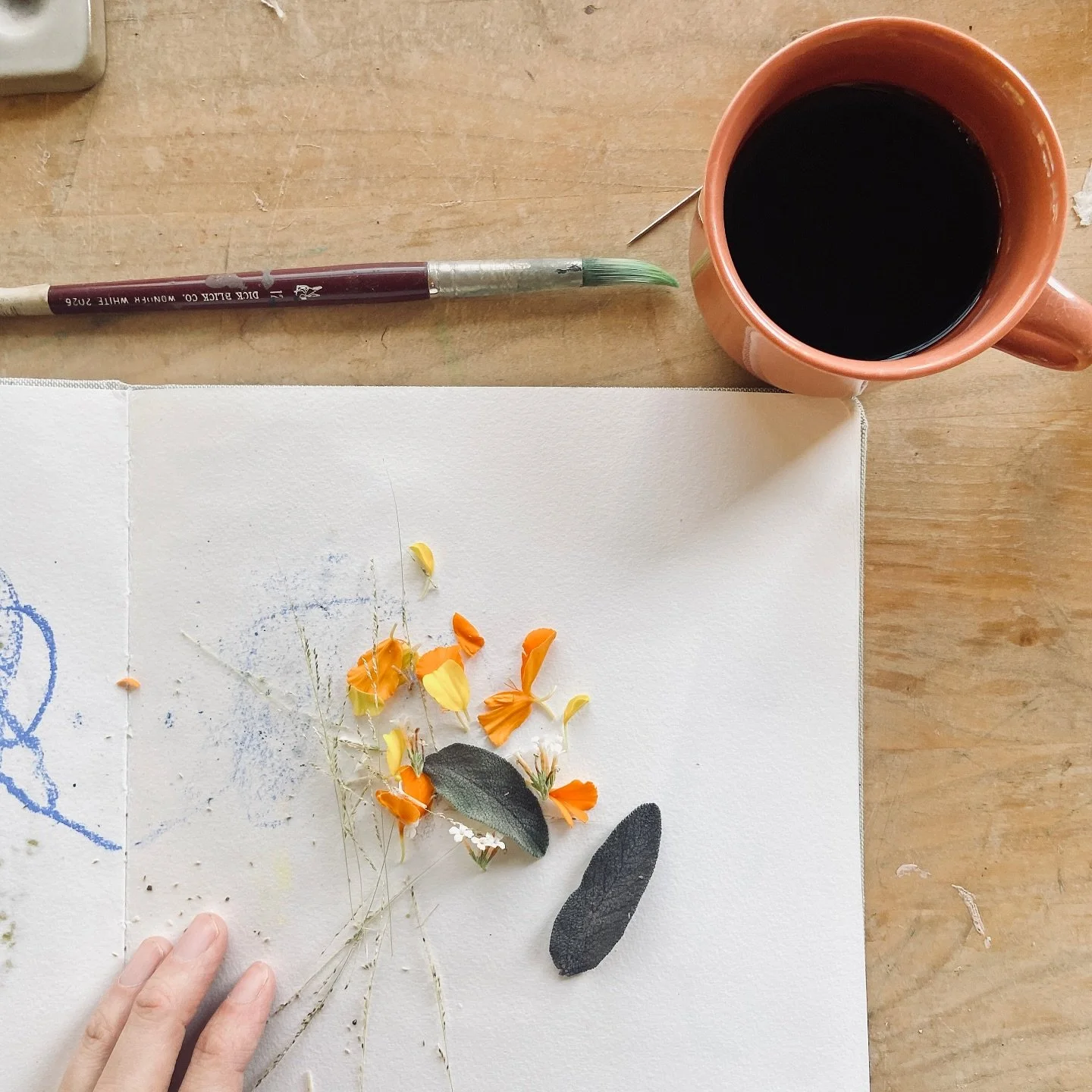 In my Sketchbook Club post this week, I shared about my morning-pocket-material-collecting-walkabouts. Mmmmmm, sometimes something this simple can give so much. 

(You can see what I made with these petals and leaves on Patreon 🌼) 

What special sni