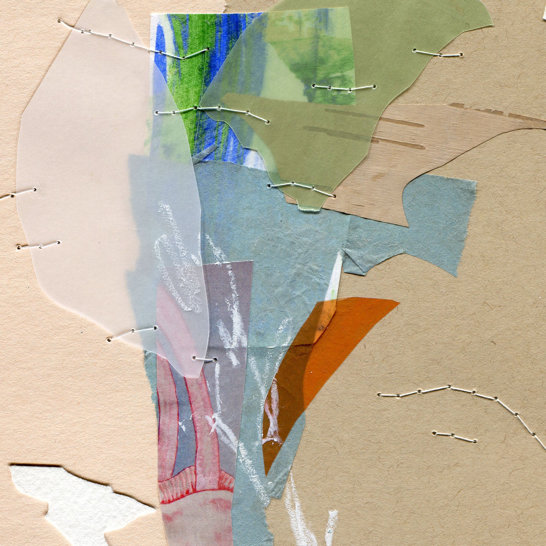Mycology Detail.jpg