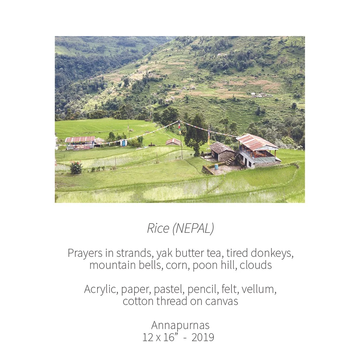 nepal memory rice field poem