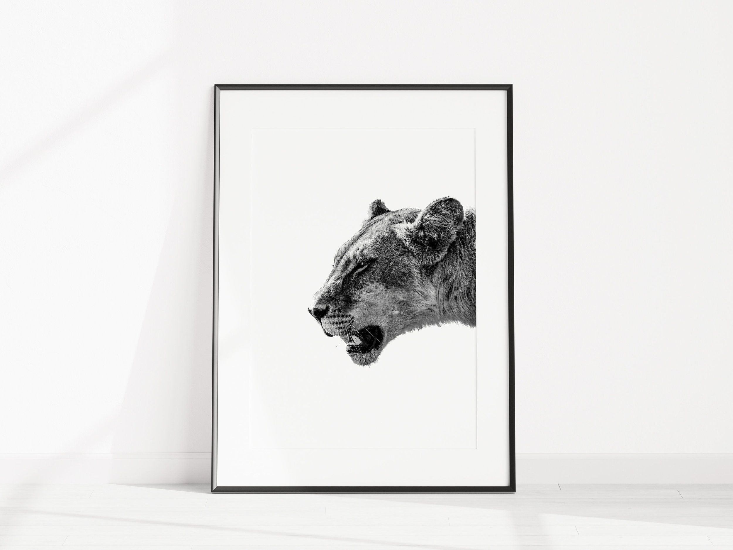 https://i.etsystatic.com/34223808/r/il/d27988/5356370707/il_fullxfull.5356370707_oach.jpg