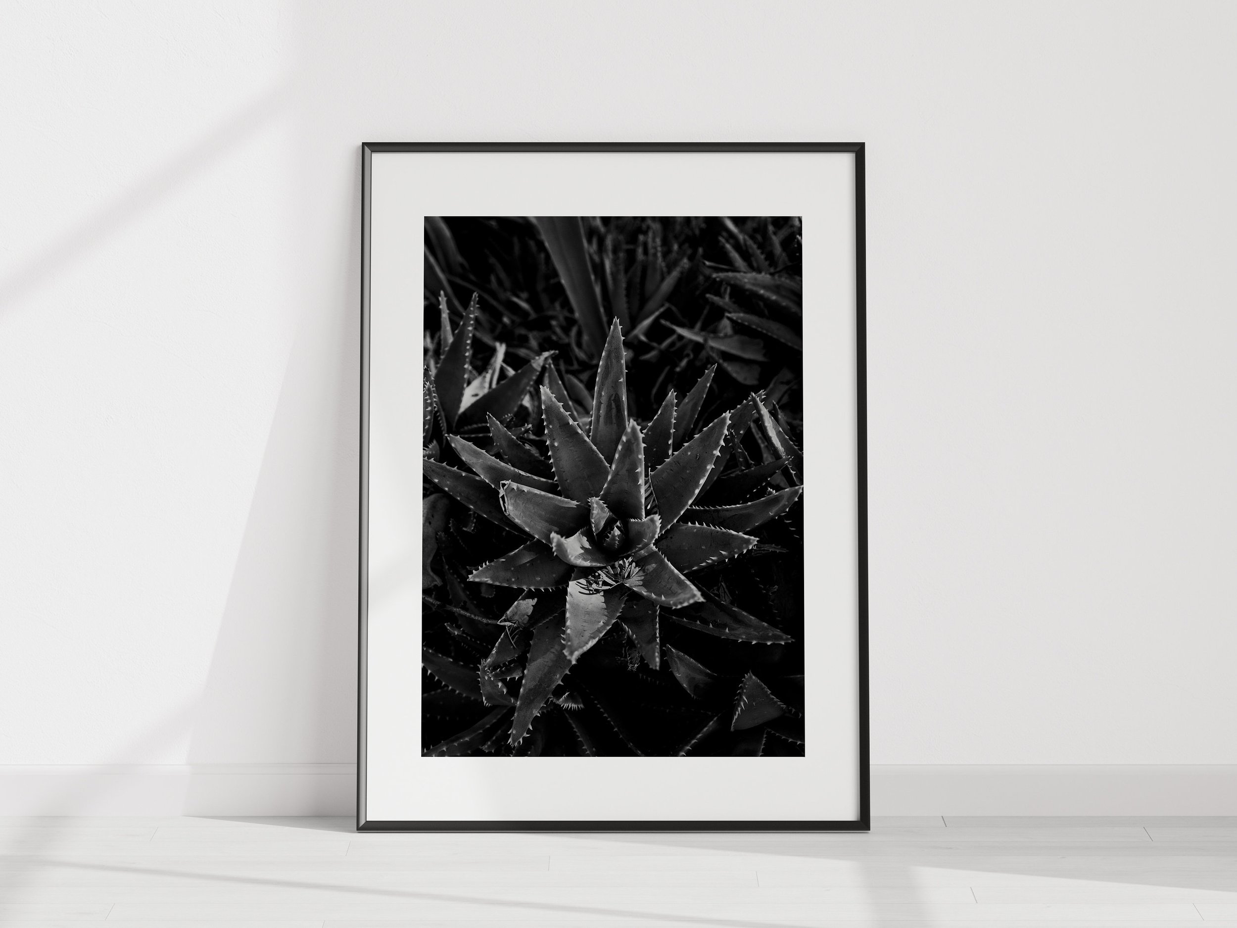 https://i.etsystatic.com/34223808/r/il/5b5c10/5356375039/il_fullxfull.5356375039_dd9u.jpg