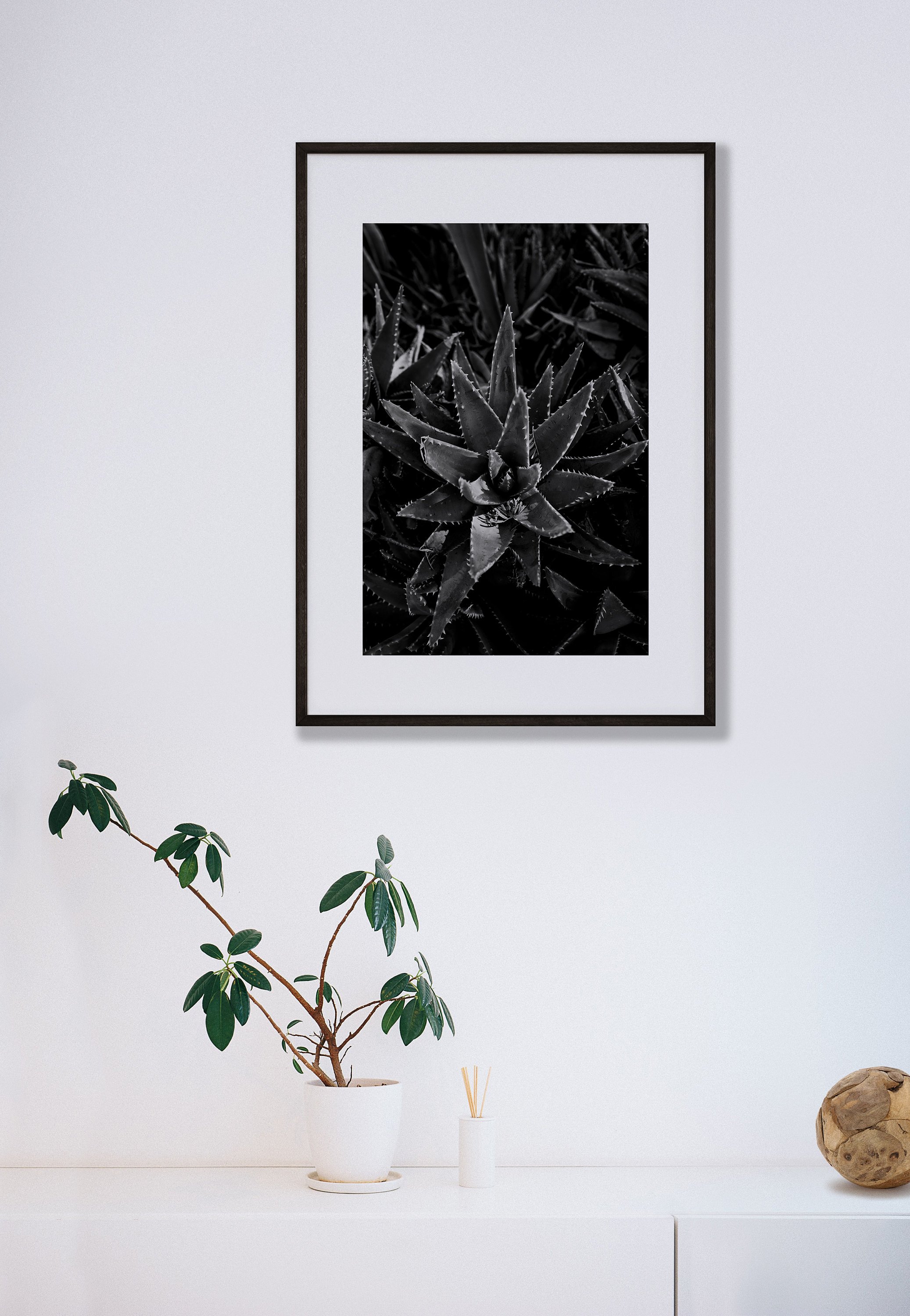 https://i.etsystatic.com/34223808/r/il/c0c2c6/5305478404/il_fullxfull.5305478404_oq3p.jpg